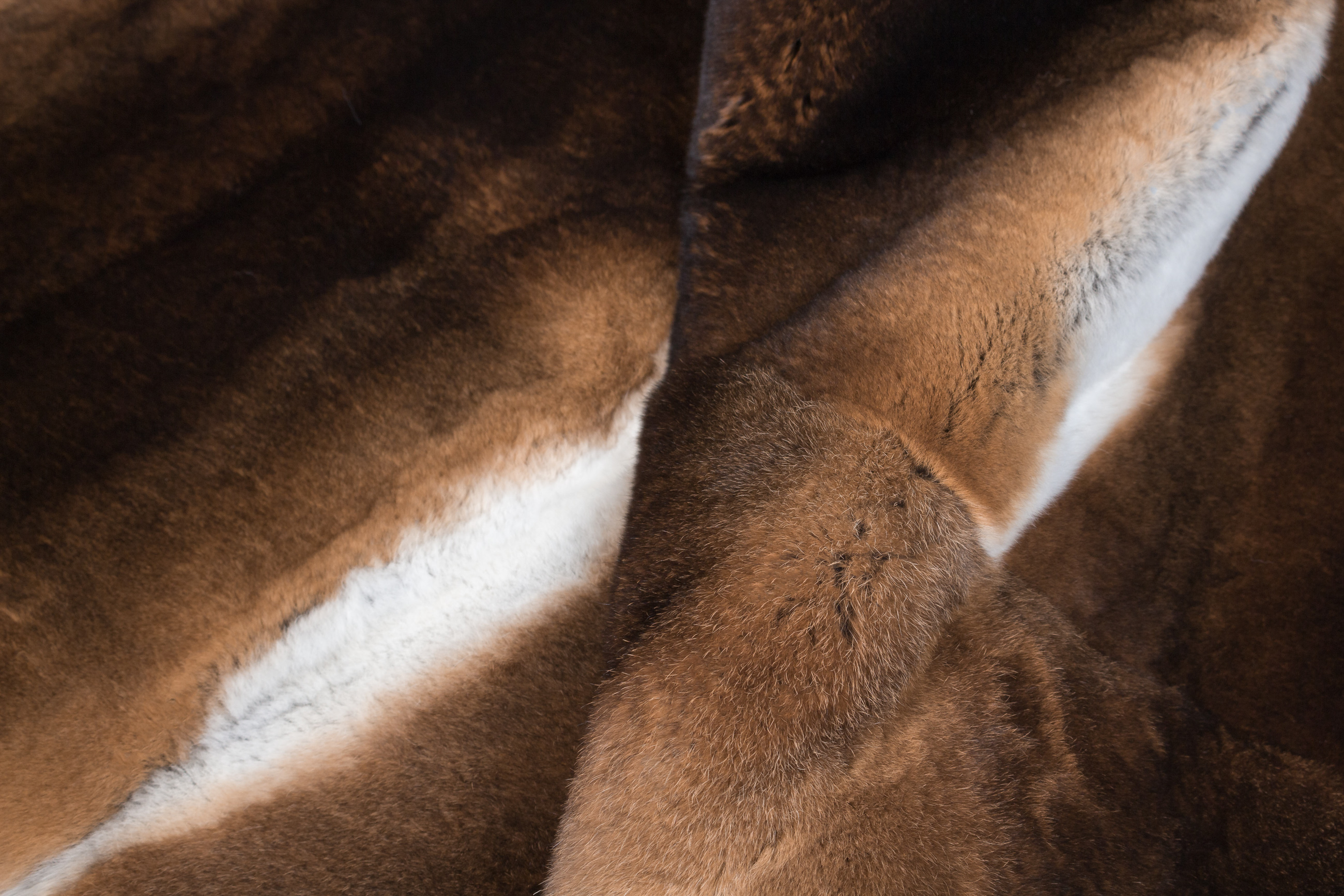 Castor Rex Rabbit Fur Blanket - Natural - very soft