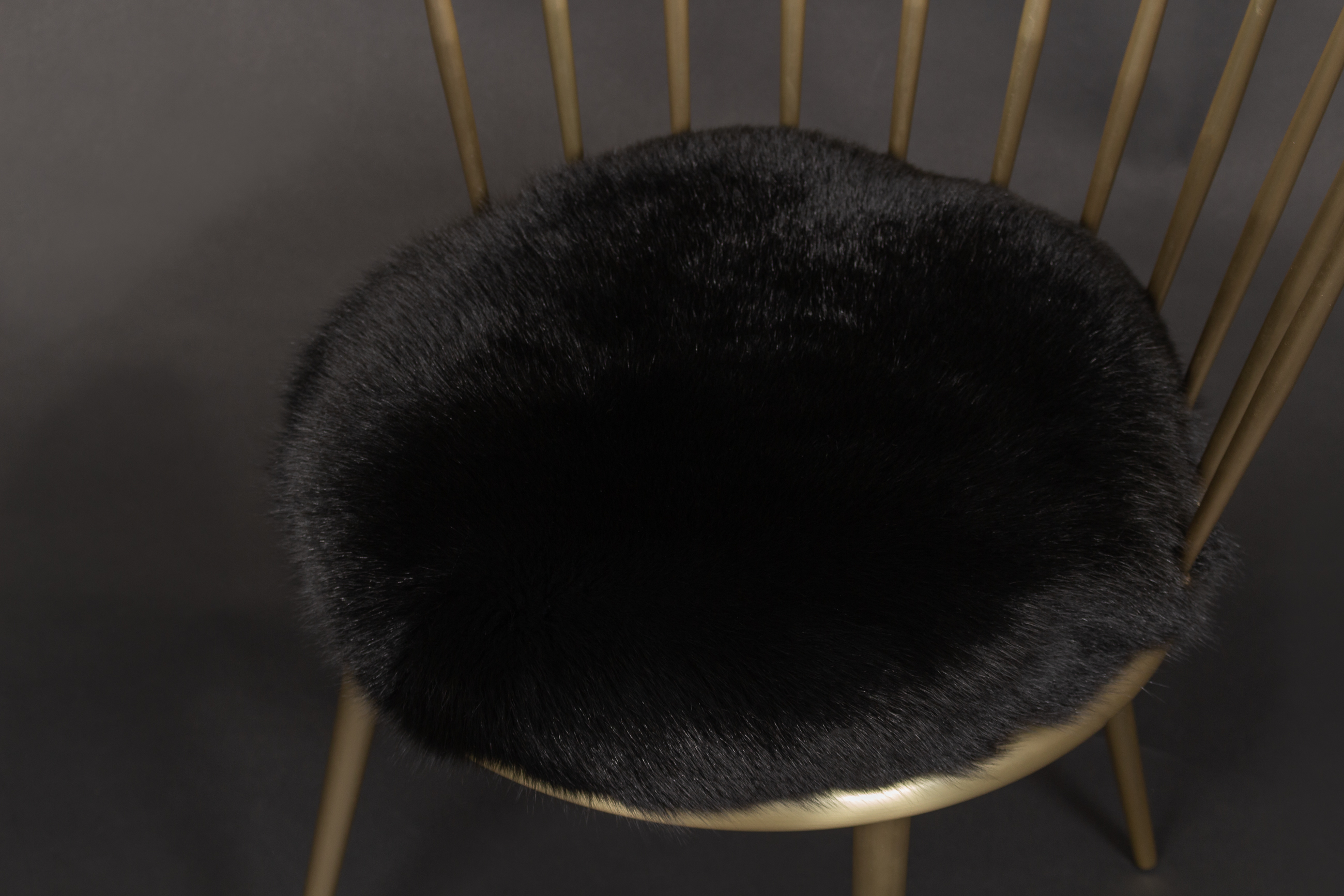 Cantori Chair with Shadow Fox in Black