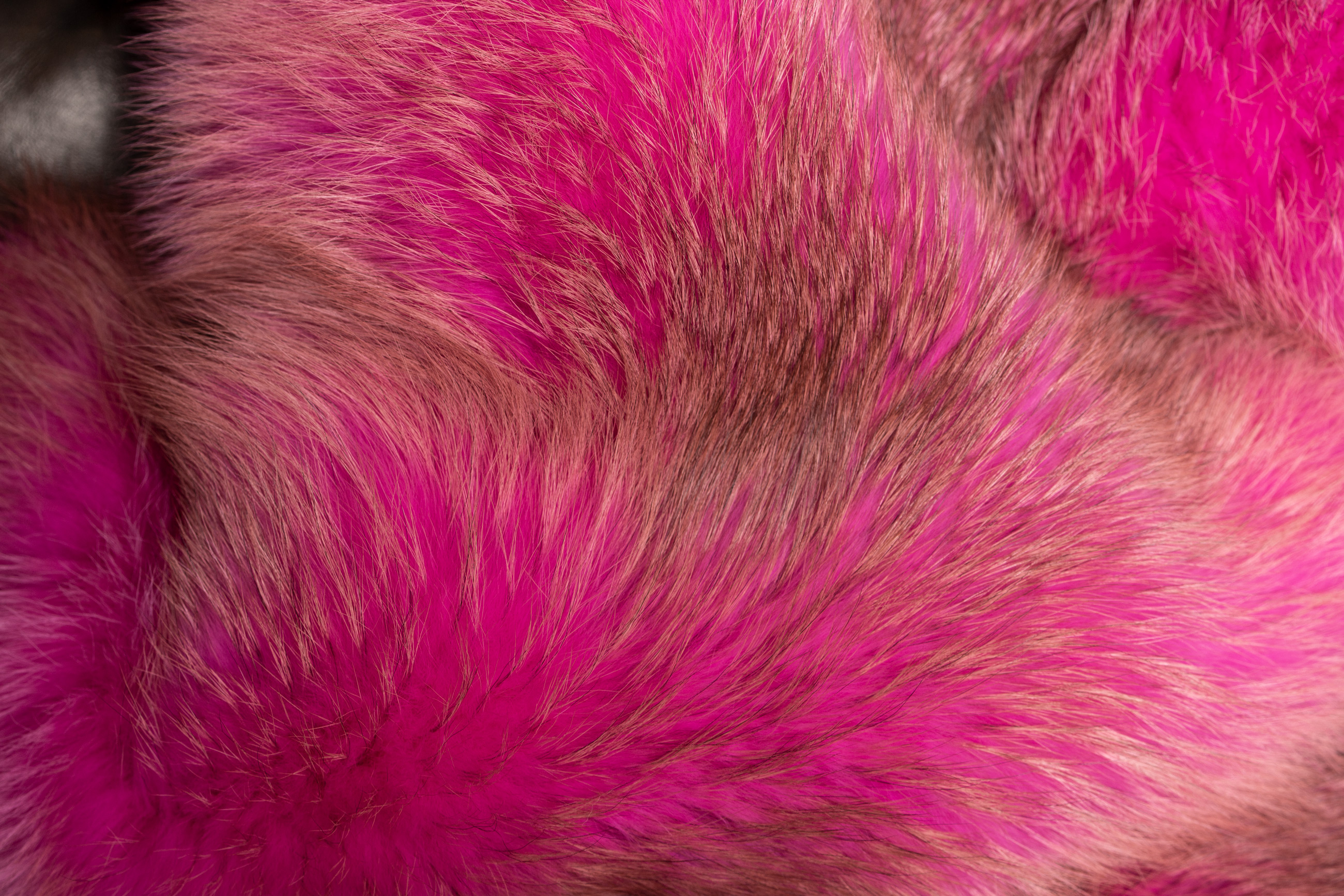 Extravagant Pink Red Fox Real Fur Blanket