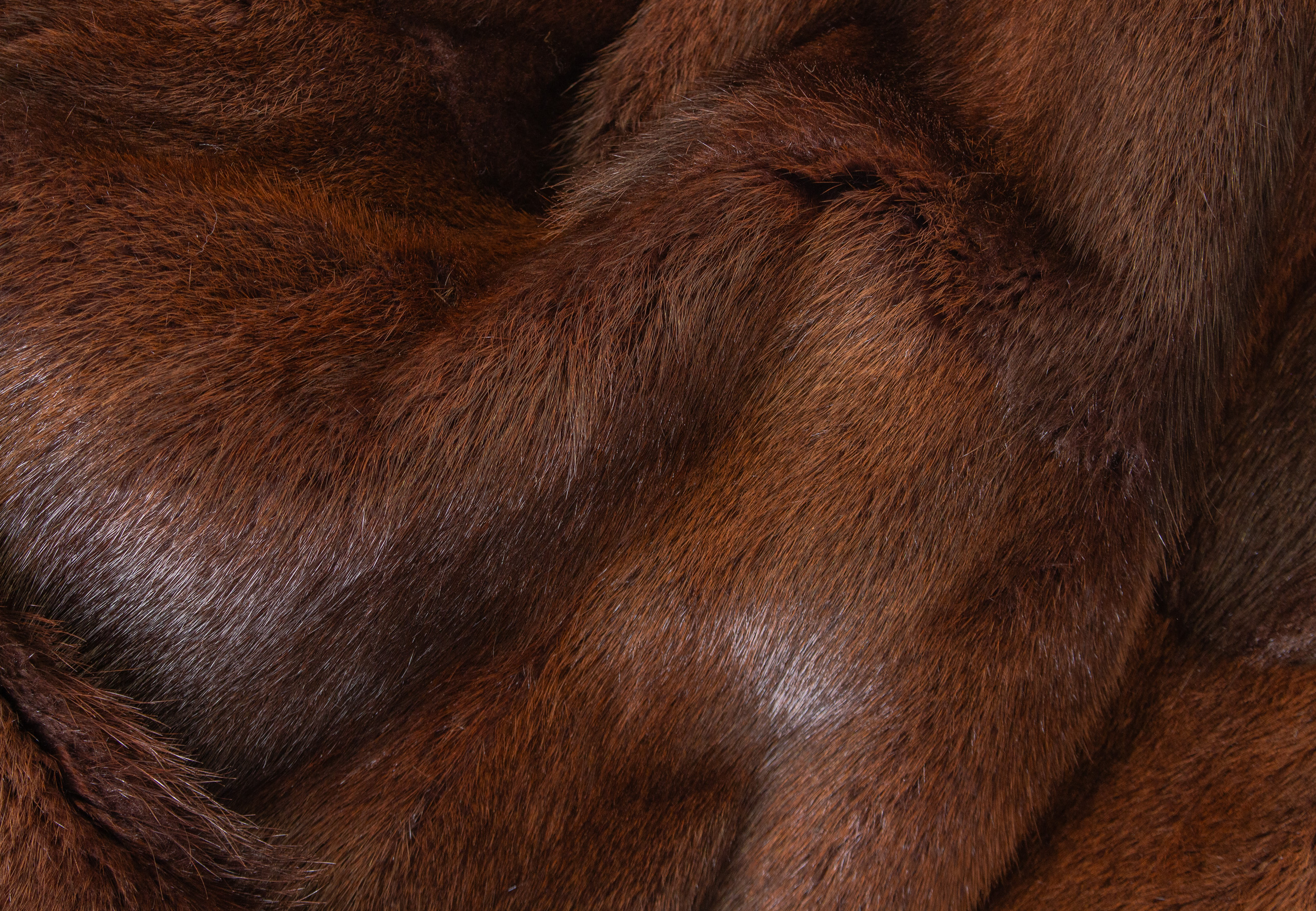 Noble Muskrat Fur Blanket with Fox Fur Border in Brown