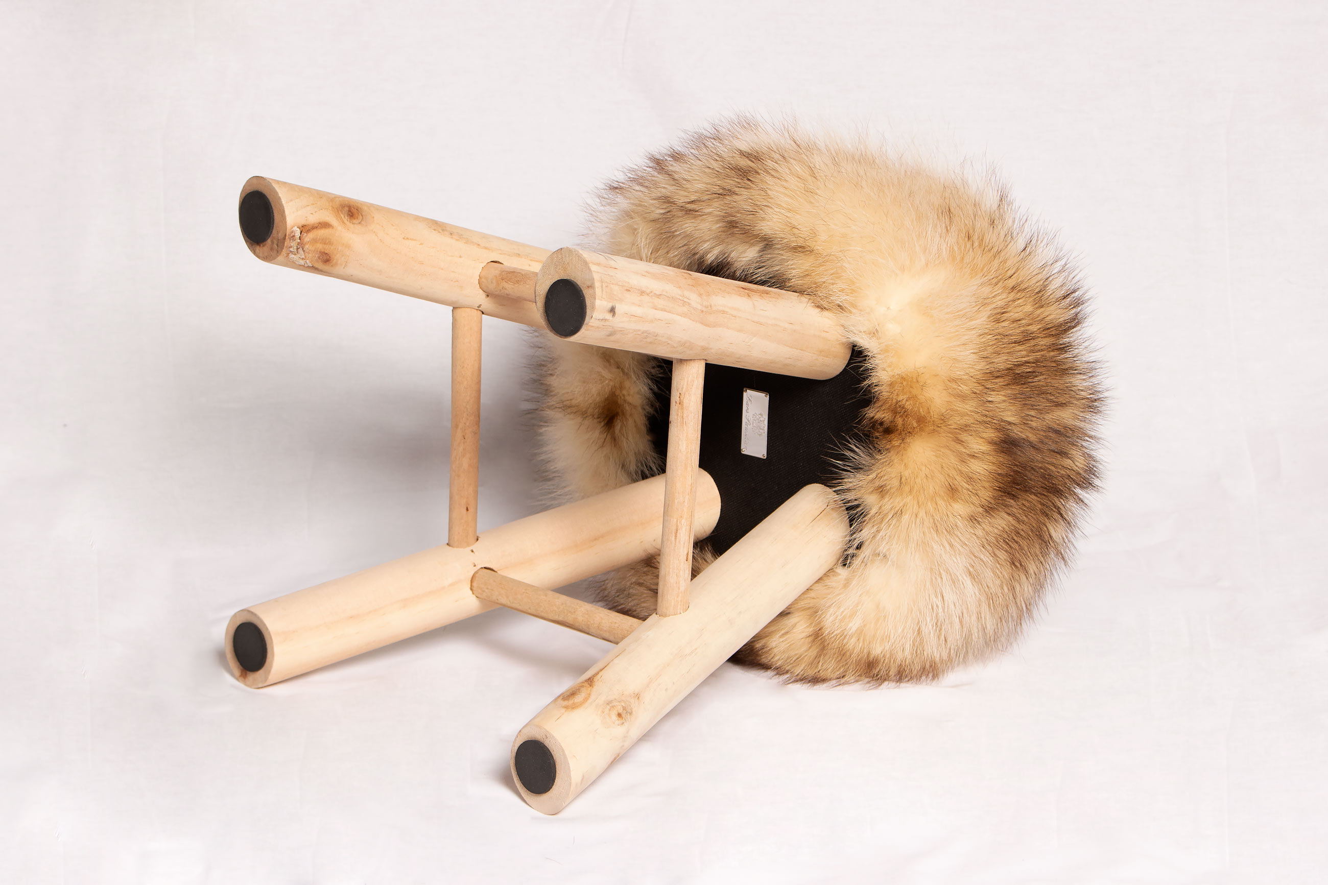 Canadian Raccoon Sitting Chair with Pine-Wood