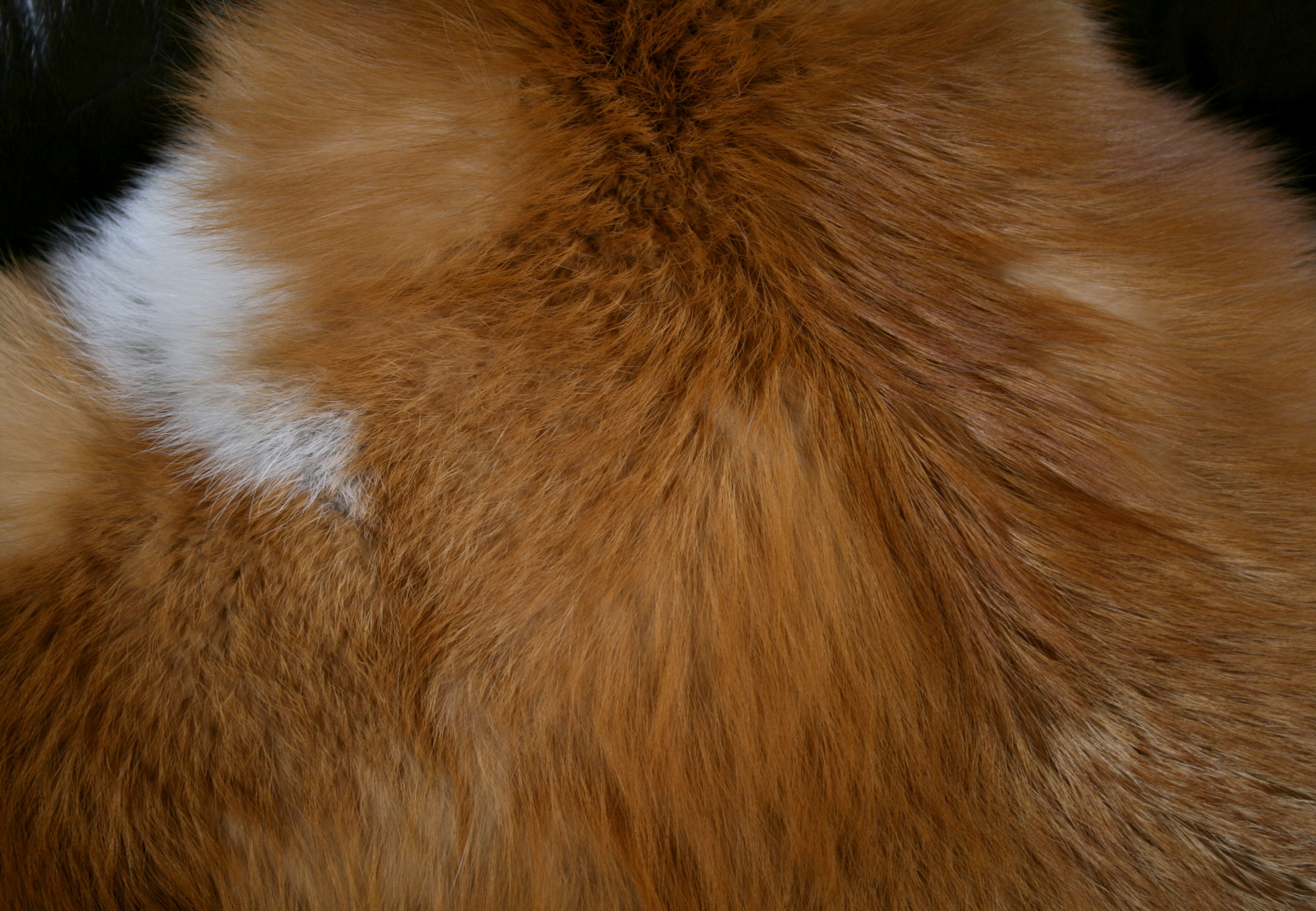 Natural Canadian Red Fox Fur Pillow