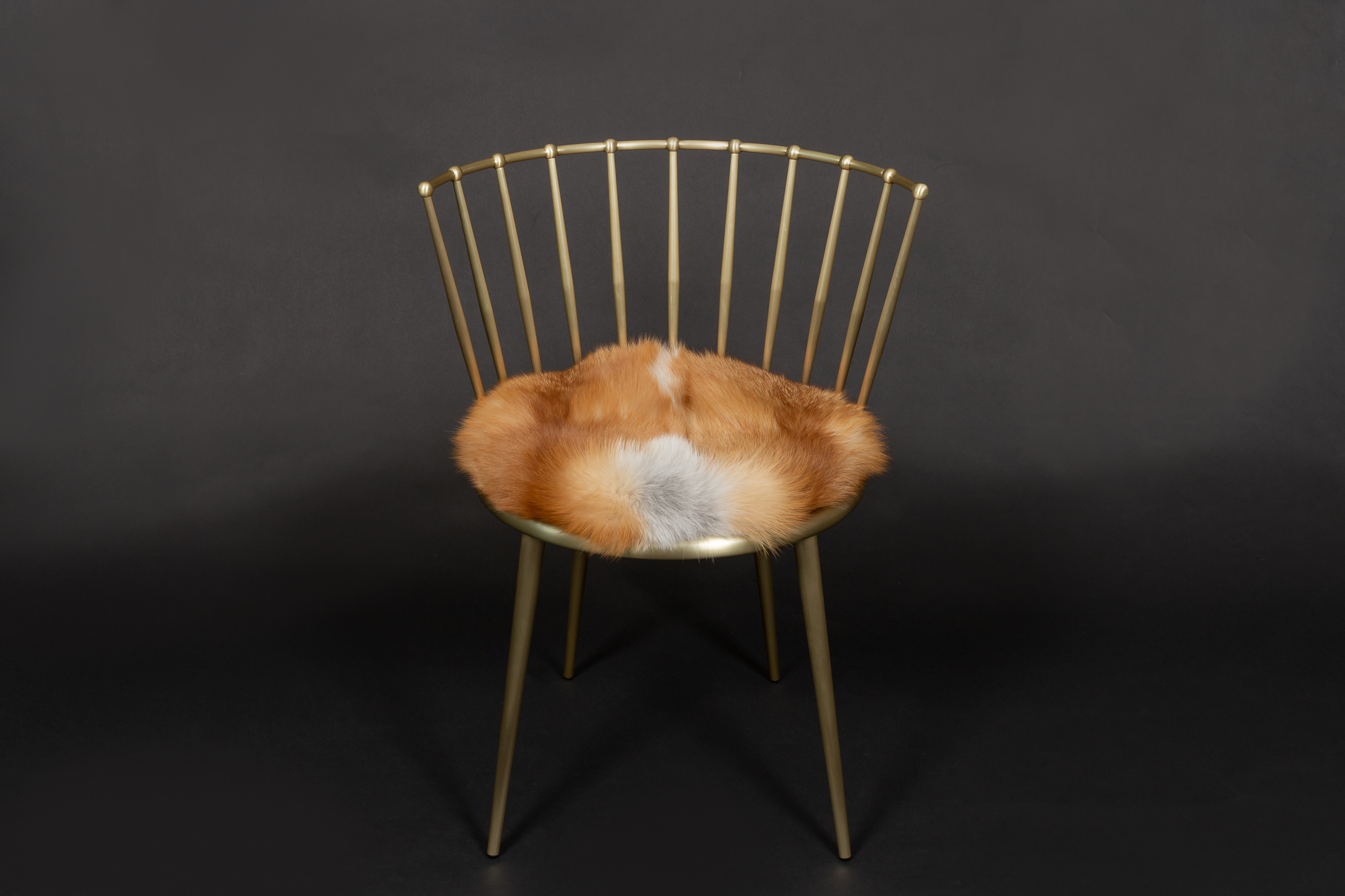 2-8664-Rotfuchs-Stuhl-Europaeischen-Rotfuechsen-Lars-Paustian Red Fox Chair with European Foxes