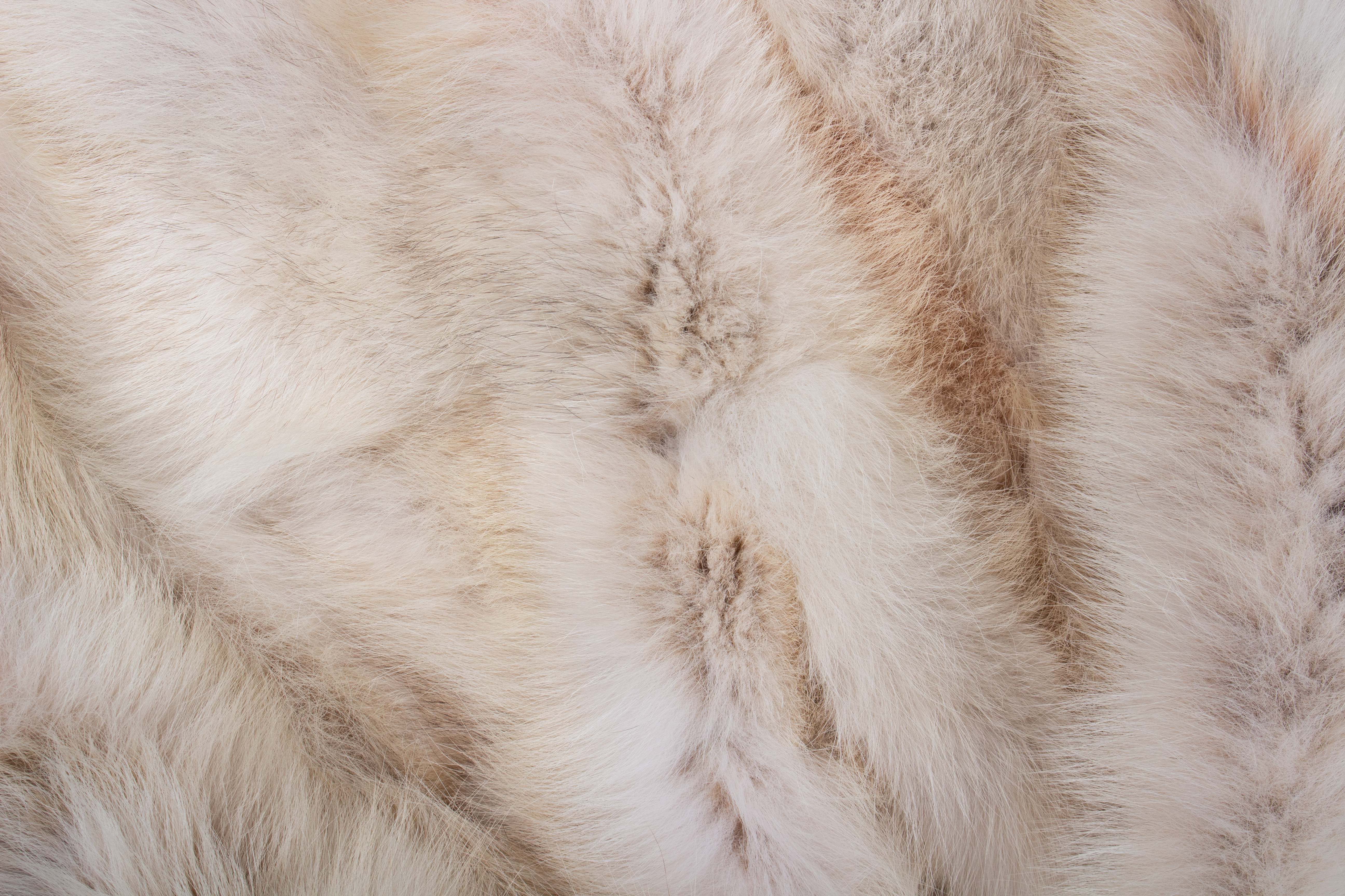 Fur Throw Made of Canadian Coyote Sides