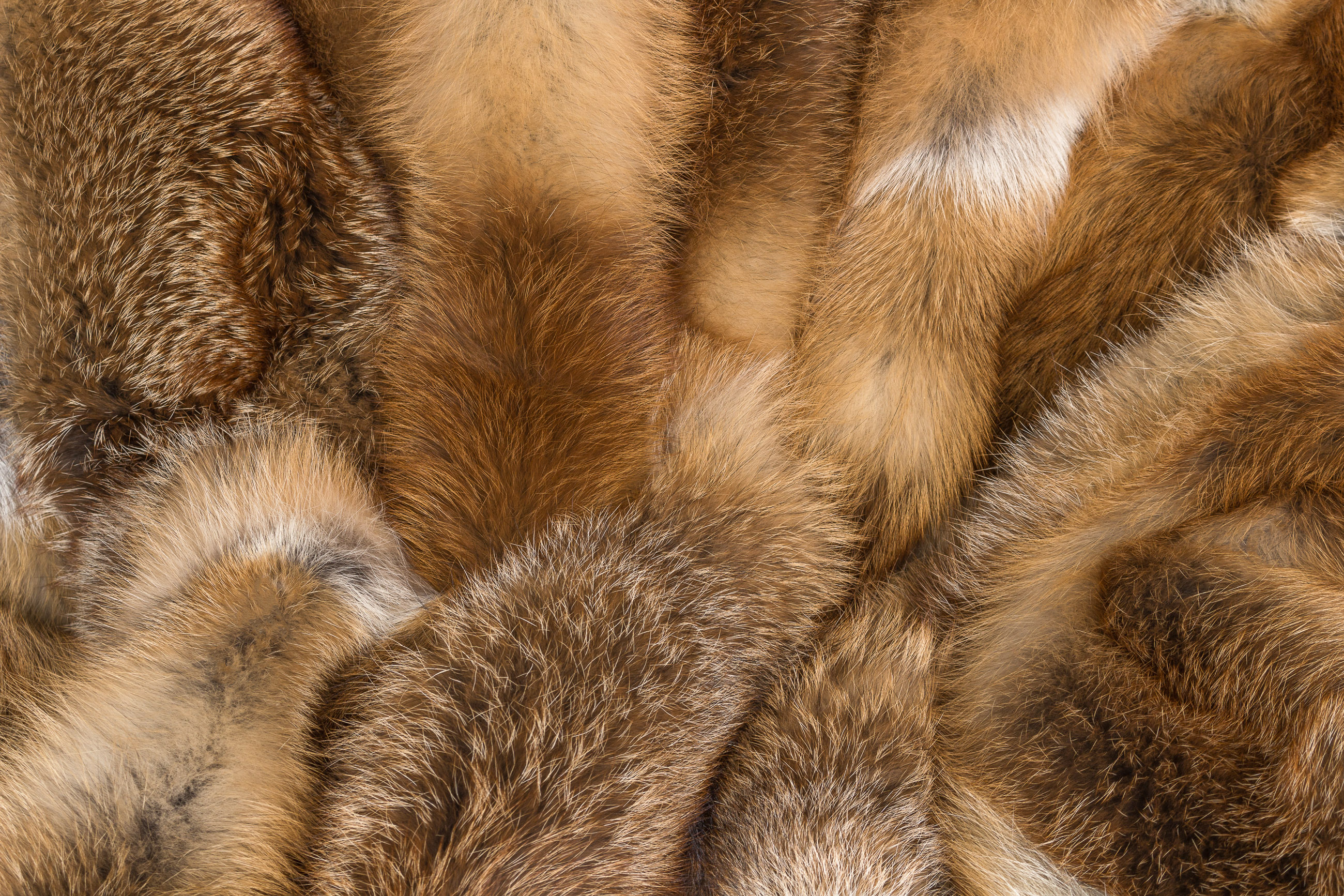 Genuine European Red Fox Fur Blanket "Davos"