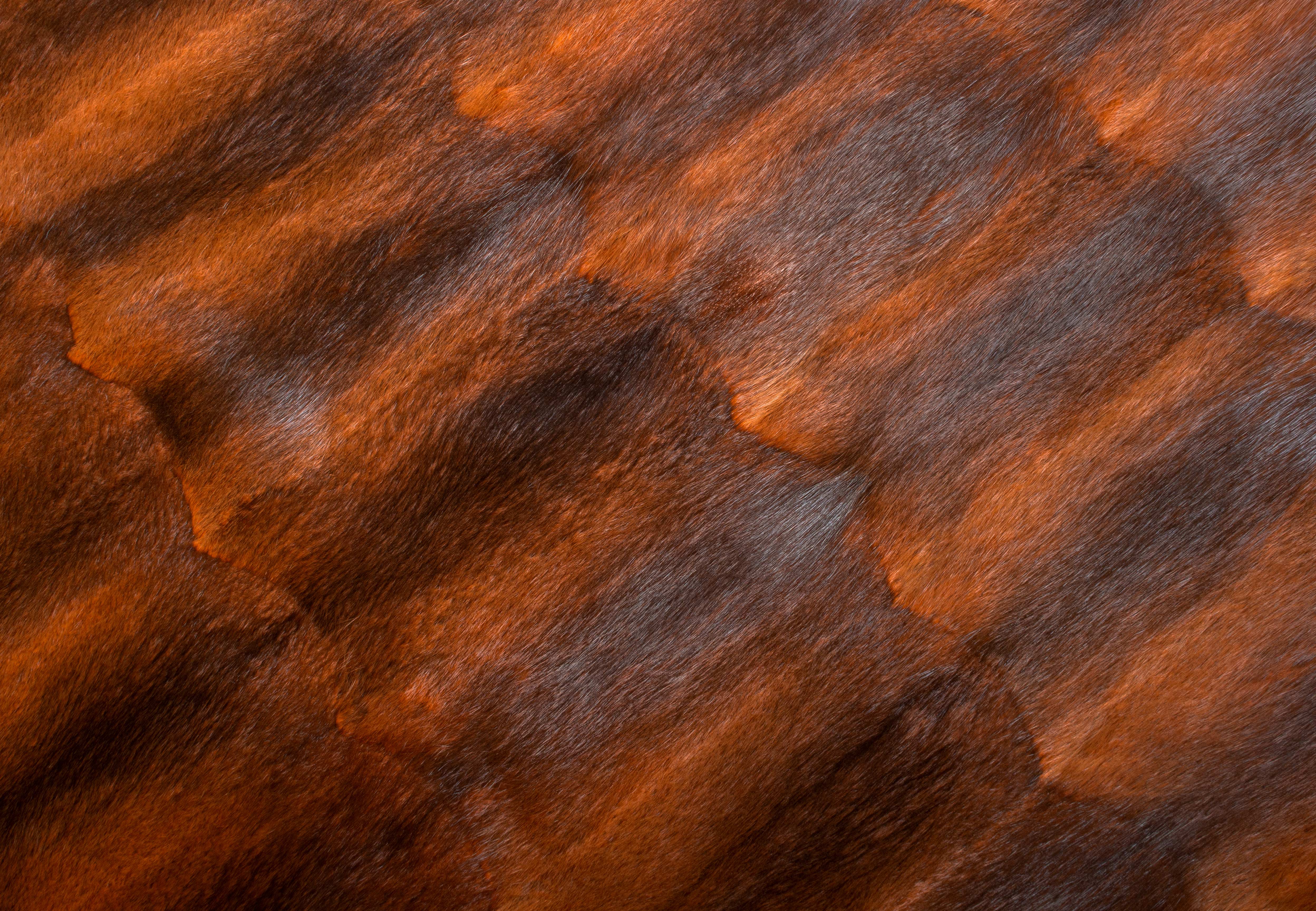 Muskrat Fur Carpet in orange