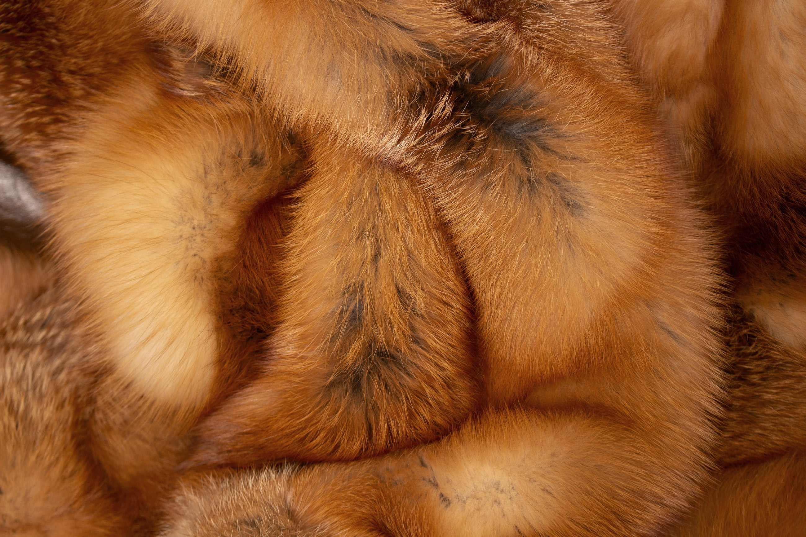 Canadian Red Fox Fur Throw
