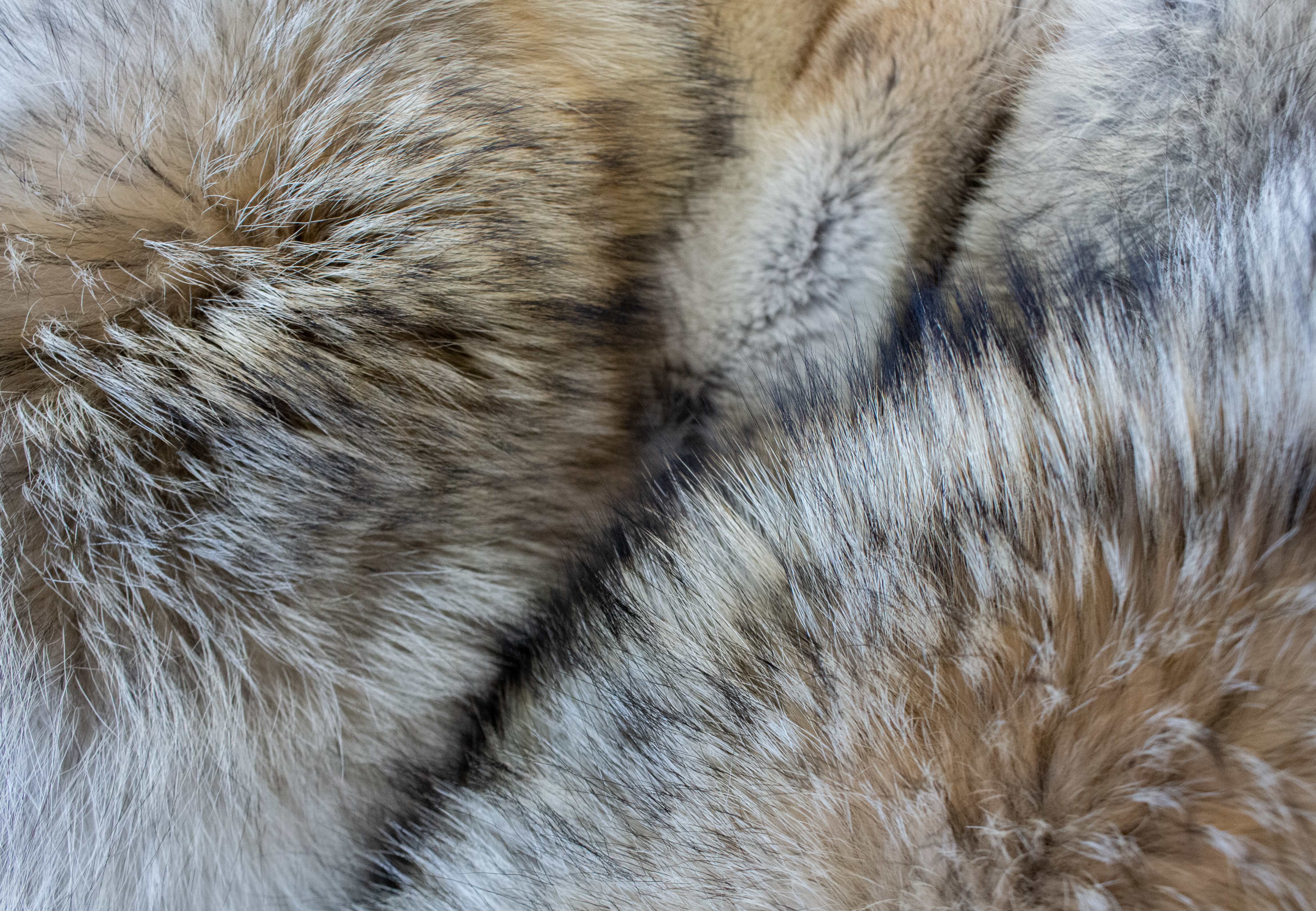 Coyote Fur Blanket with Shadow Fox Inlay