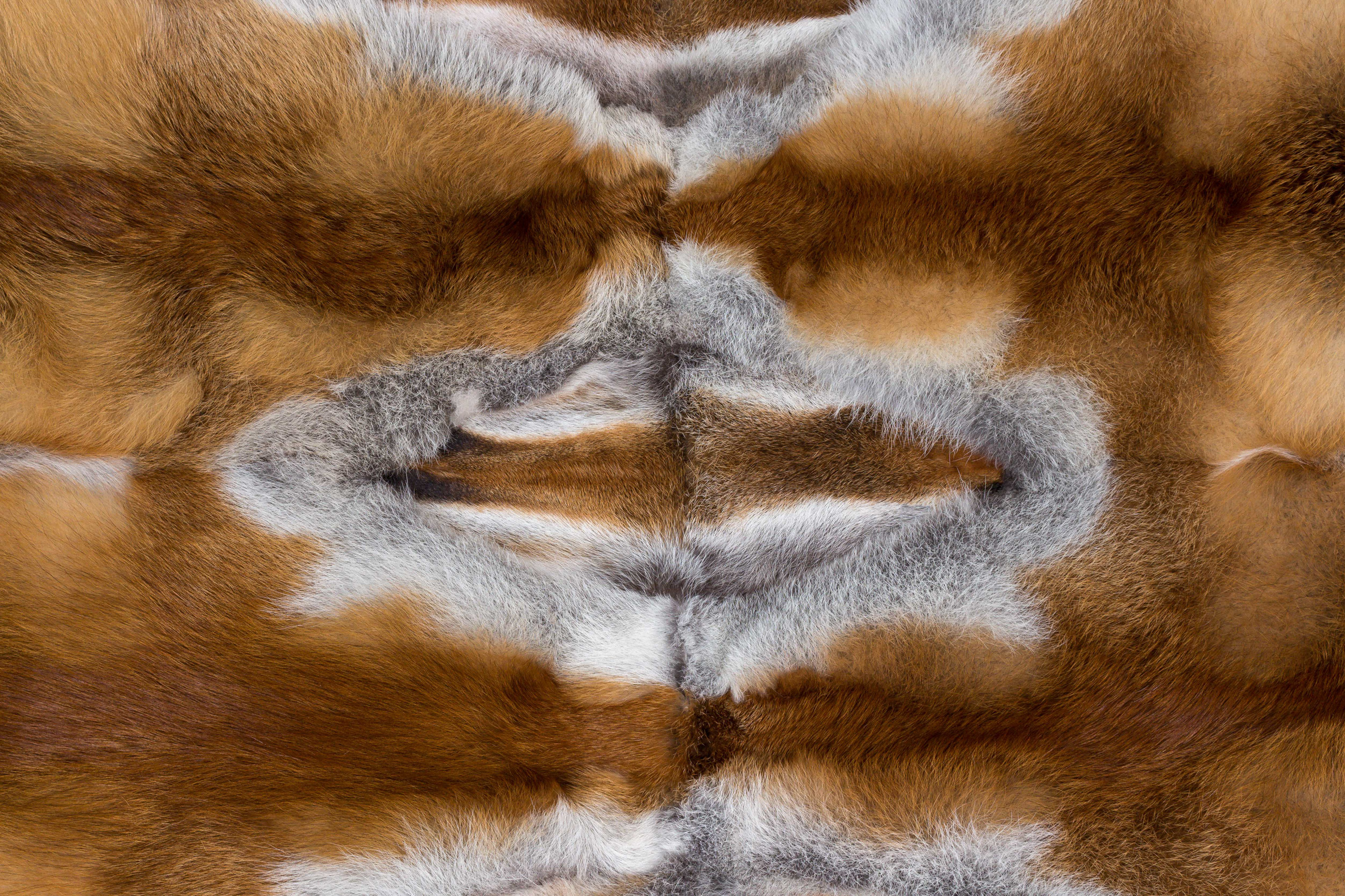 European Red Fox Fur Rug by Lars Paustian