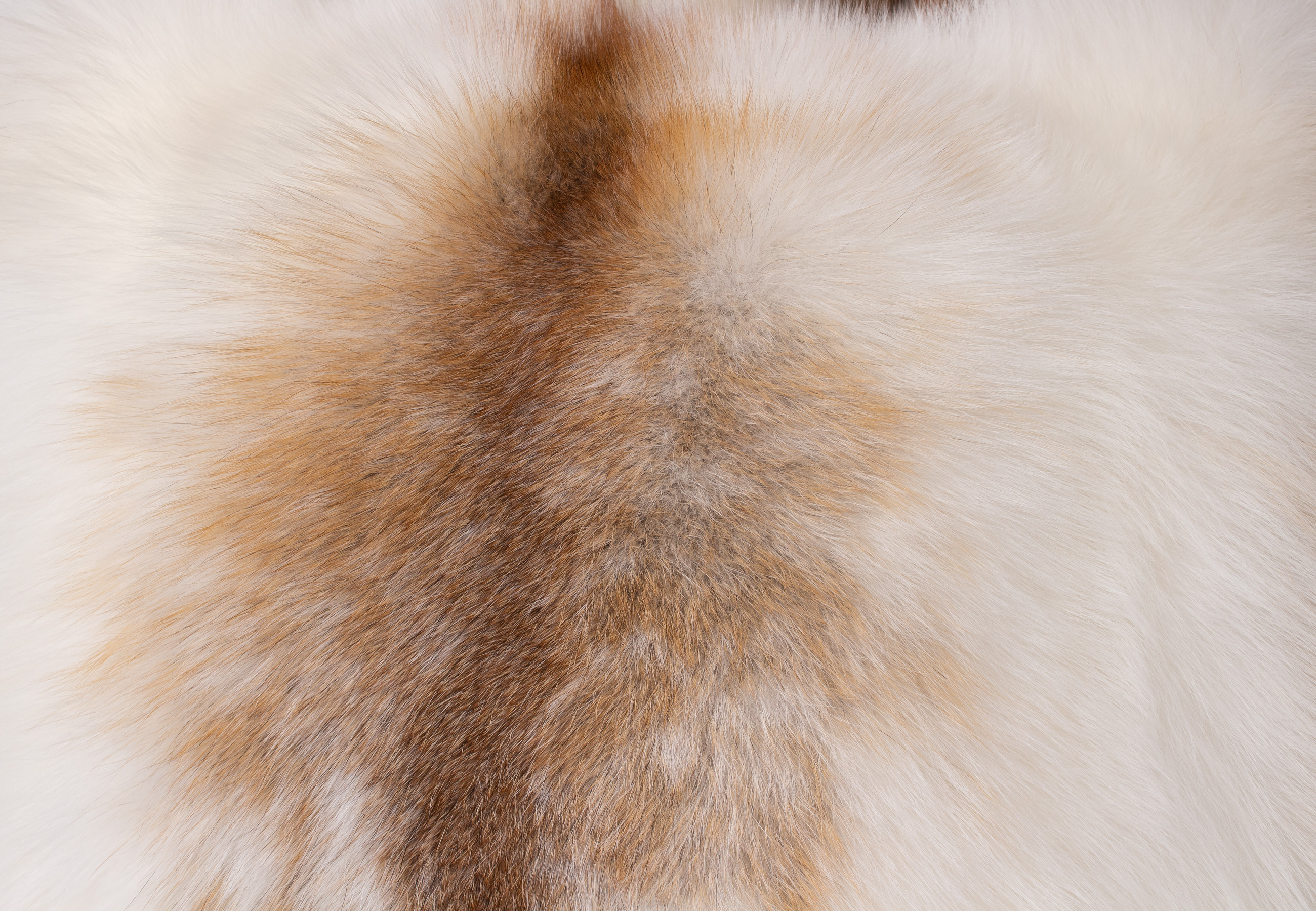 Noble Sun Glo Fox Fur Pillow