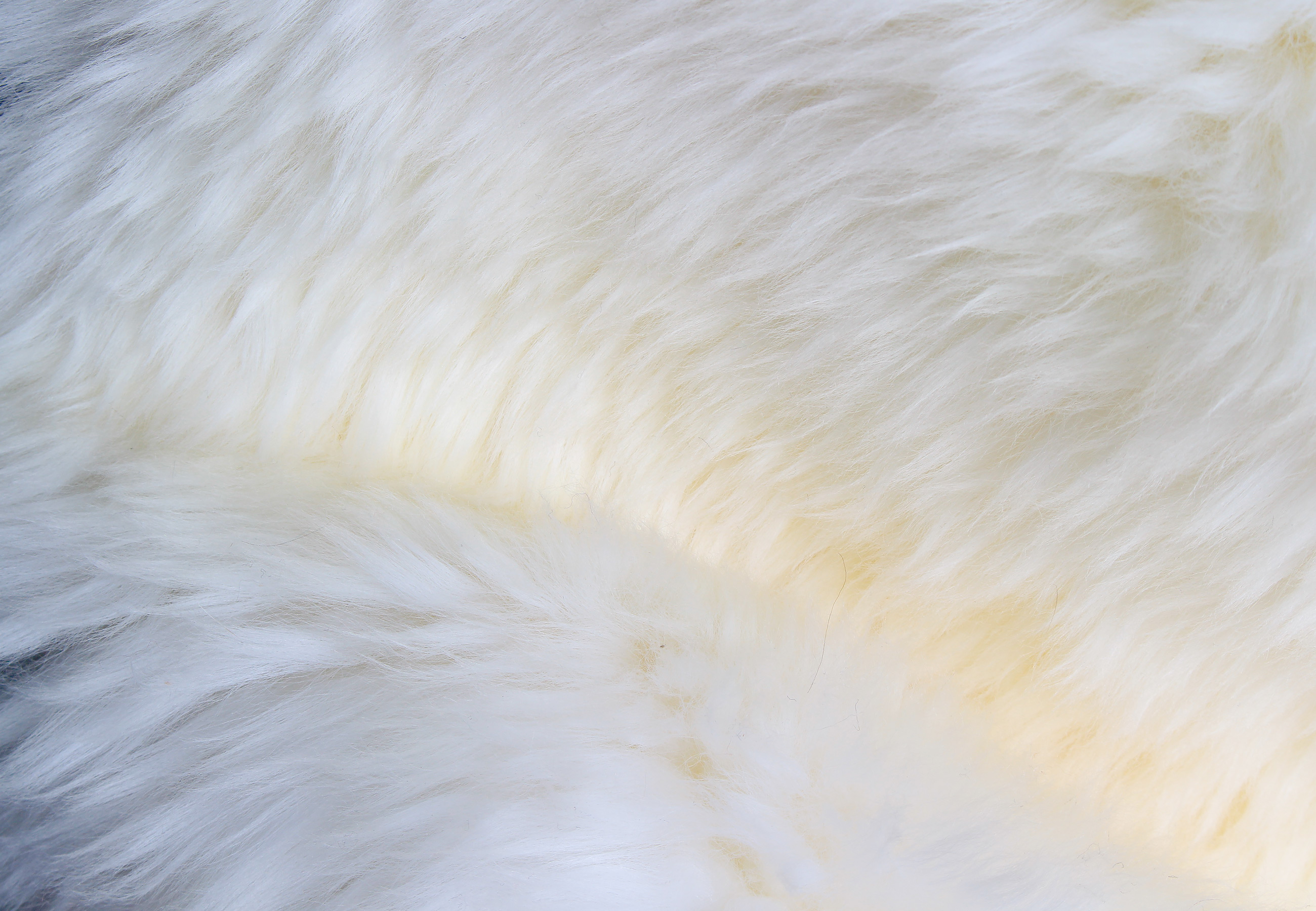 Genuine Lamb Fur Throw - Premium