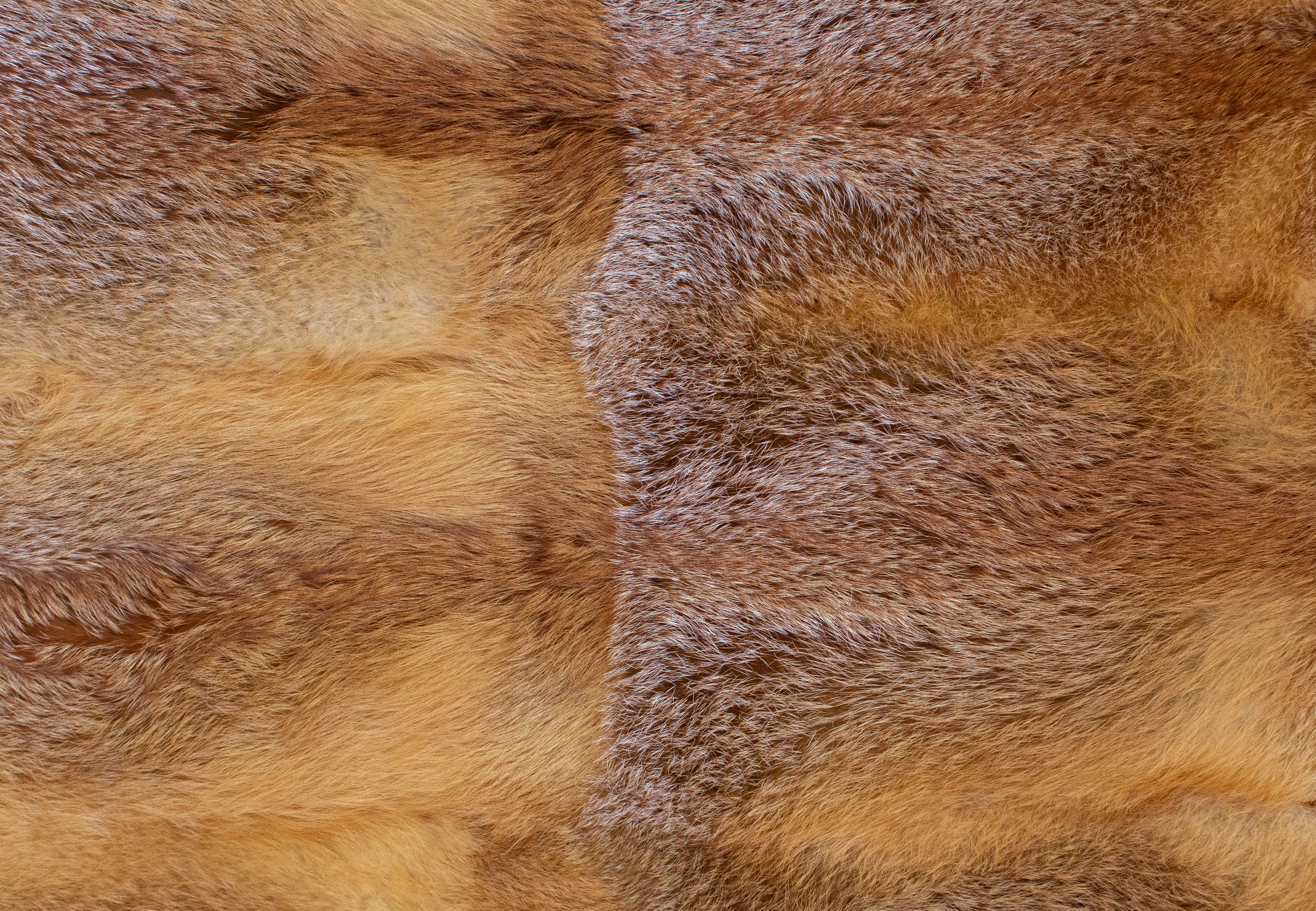 XXL European Red Fox Carpet - Wild Fur