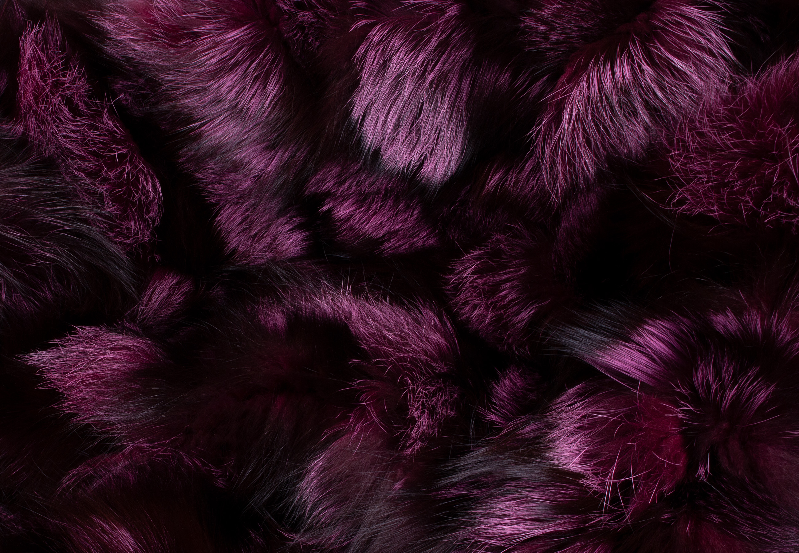 Silver Fox Fur Blanket in Black-Purple