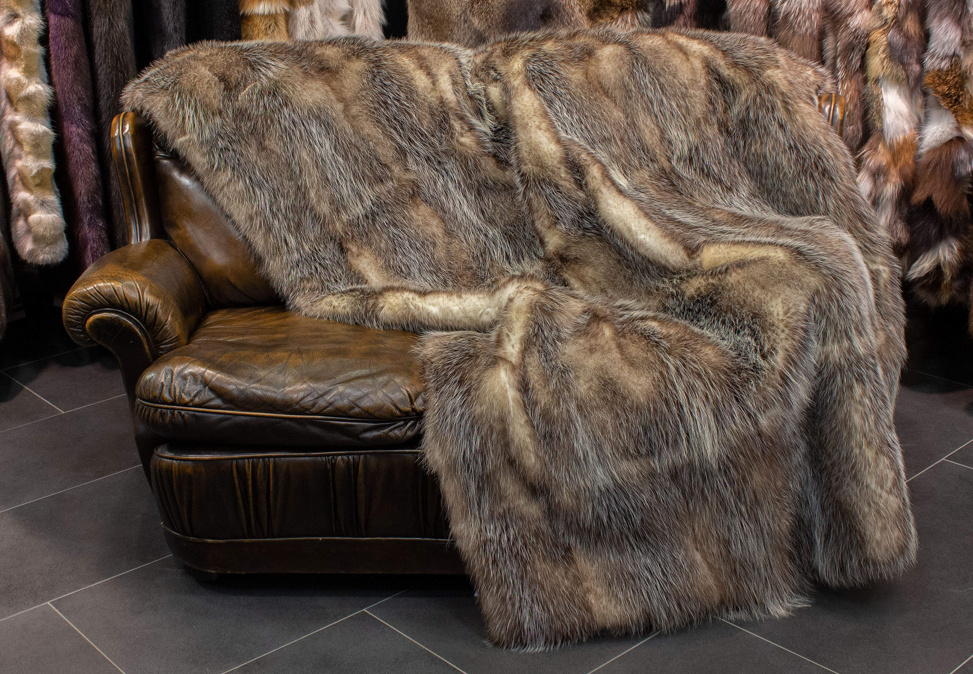 1-1338-Felldecke-Amerikanischen-Opossums-Naturdunkel-Natur-Felldecke American Opossum Fur Blanket