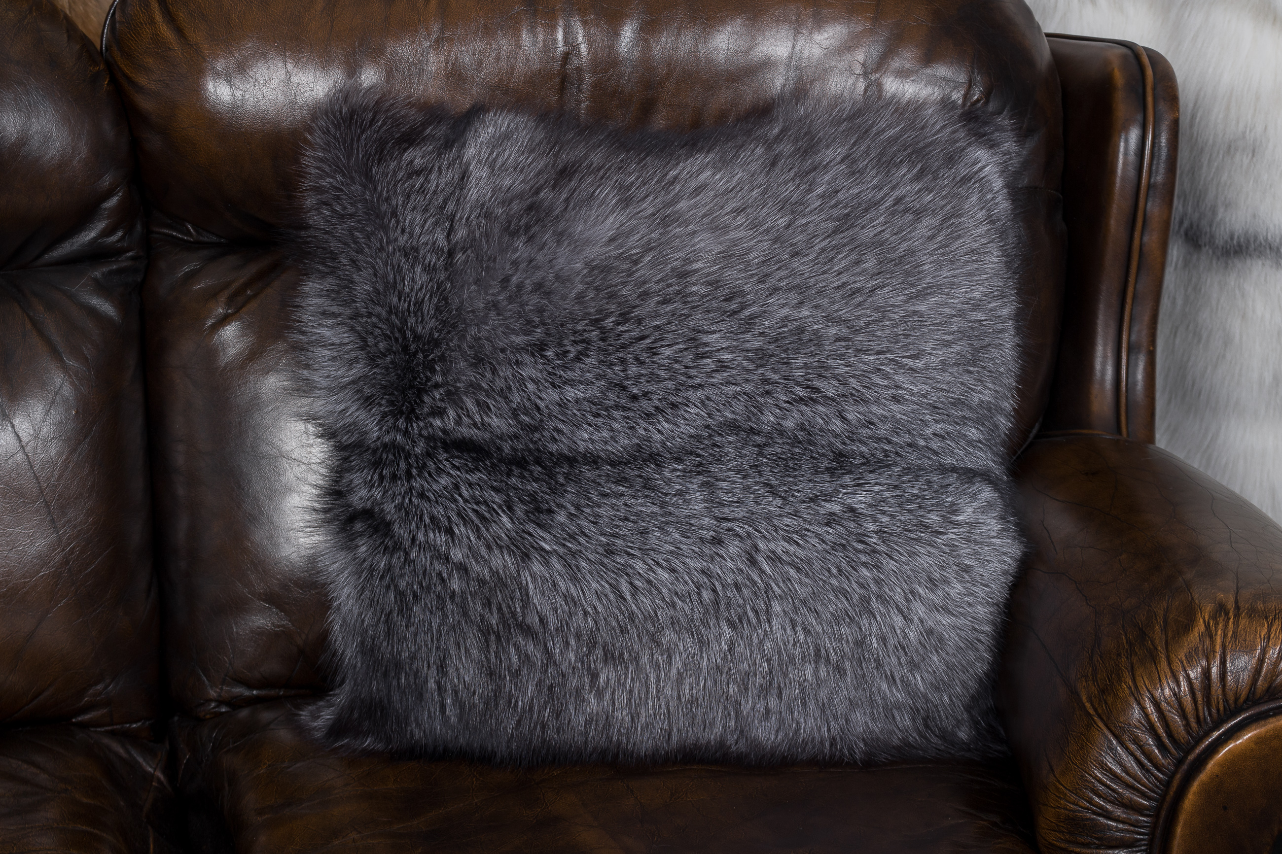 2-1385-Kleines-Blue-Frost-Fuchskissen-Lars-Paustian Small Blue Frost Fox Pillow