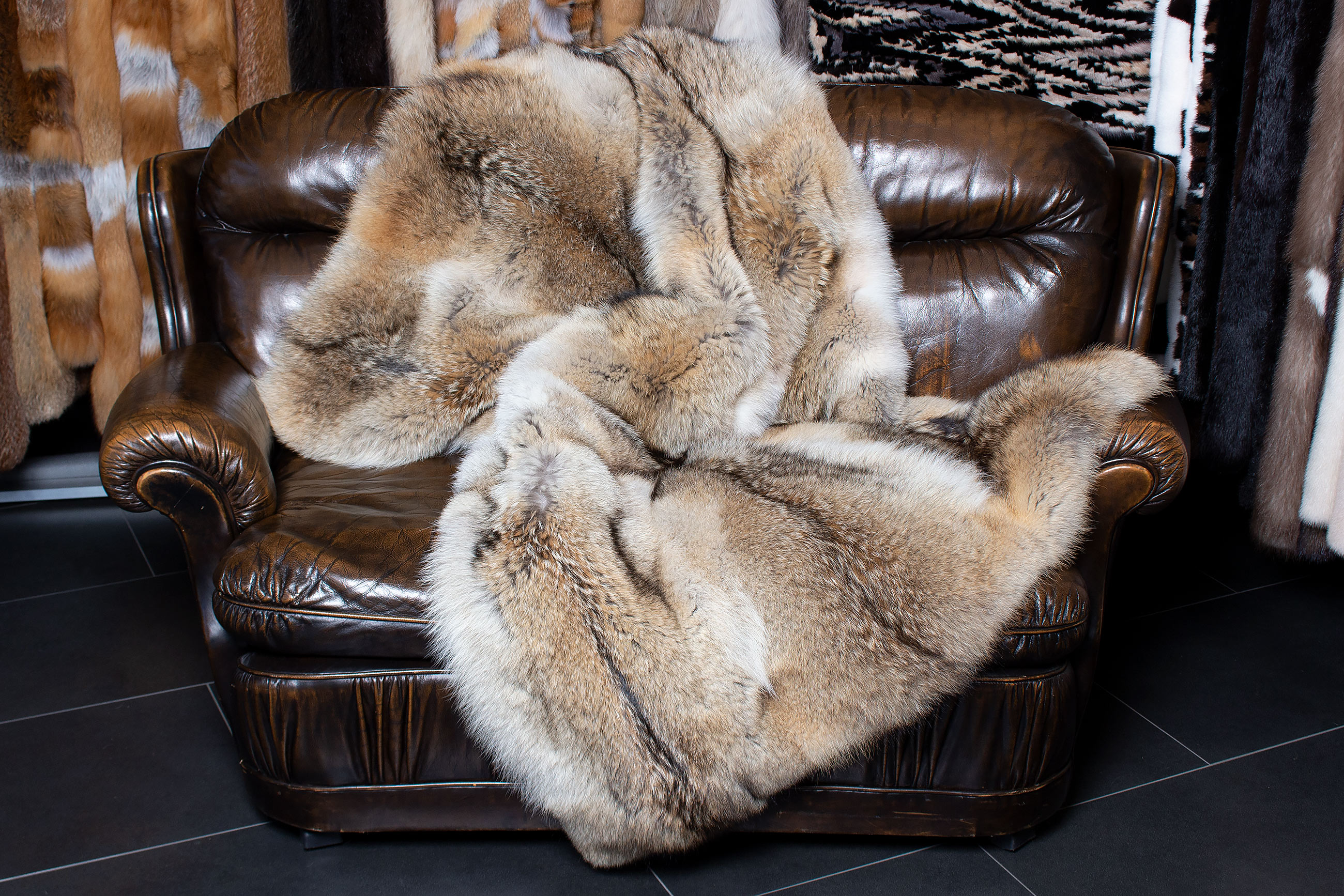 Genuine Coyote Fur Throw made with Wild Fur