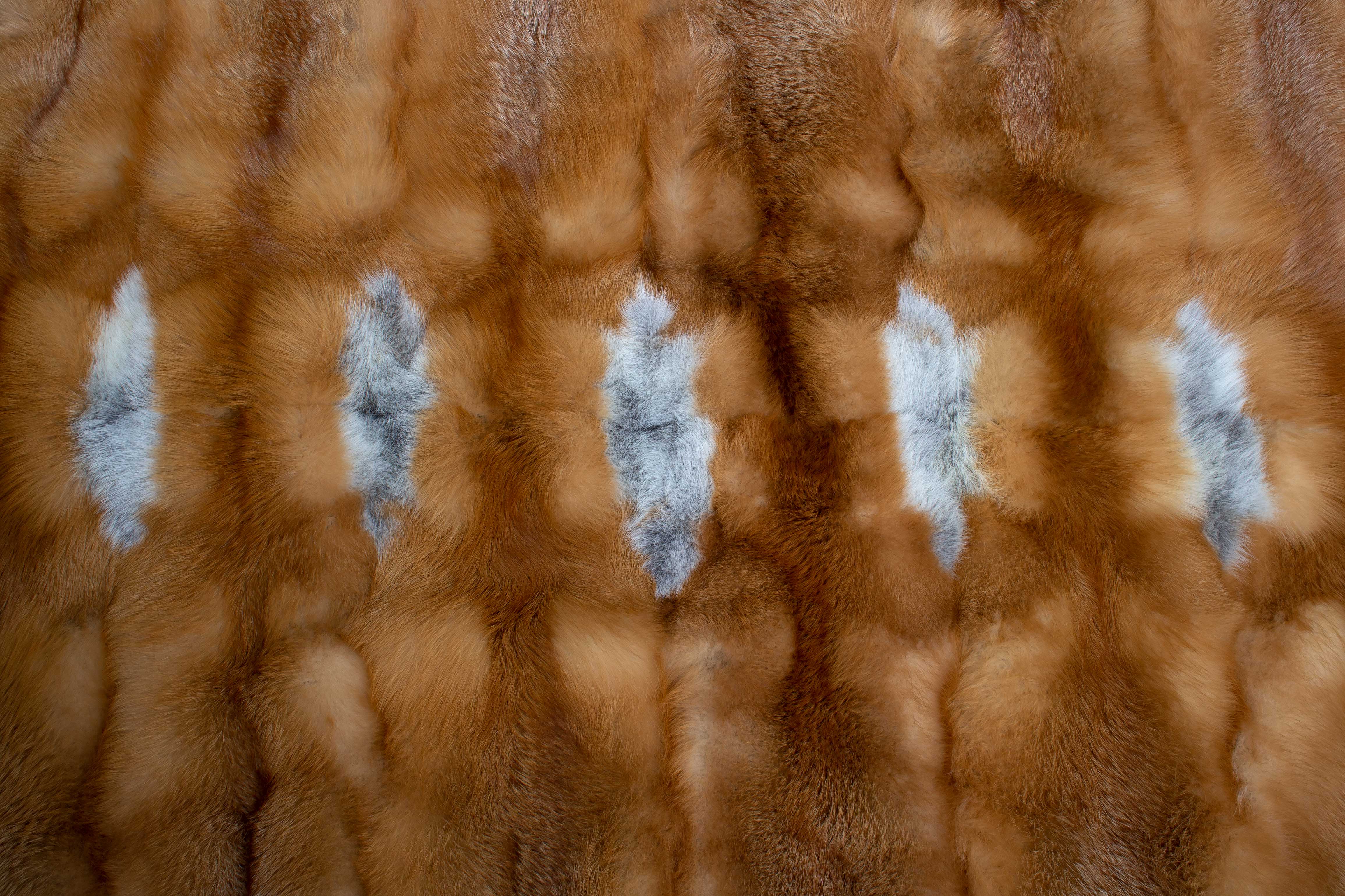 Canadian Red Fox Fur Rug