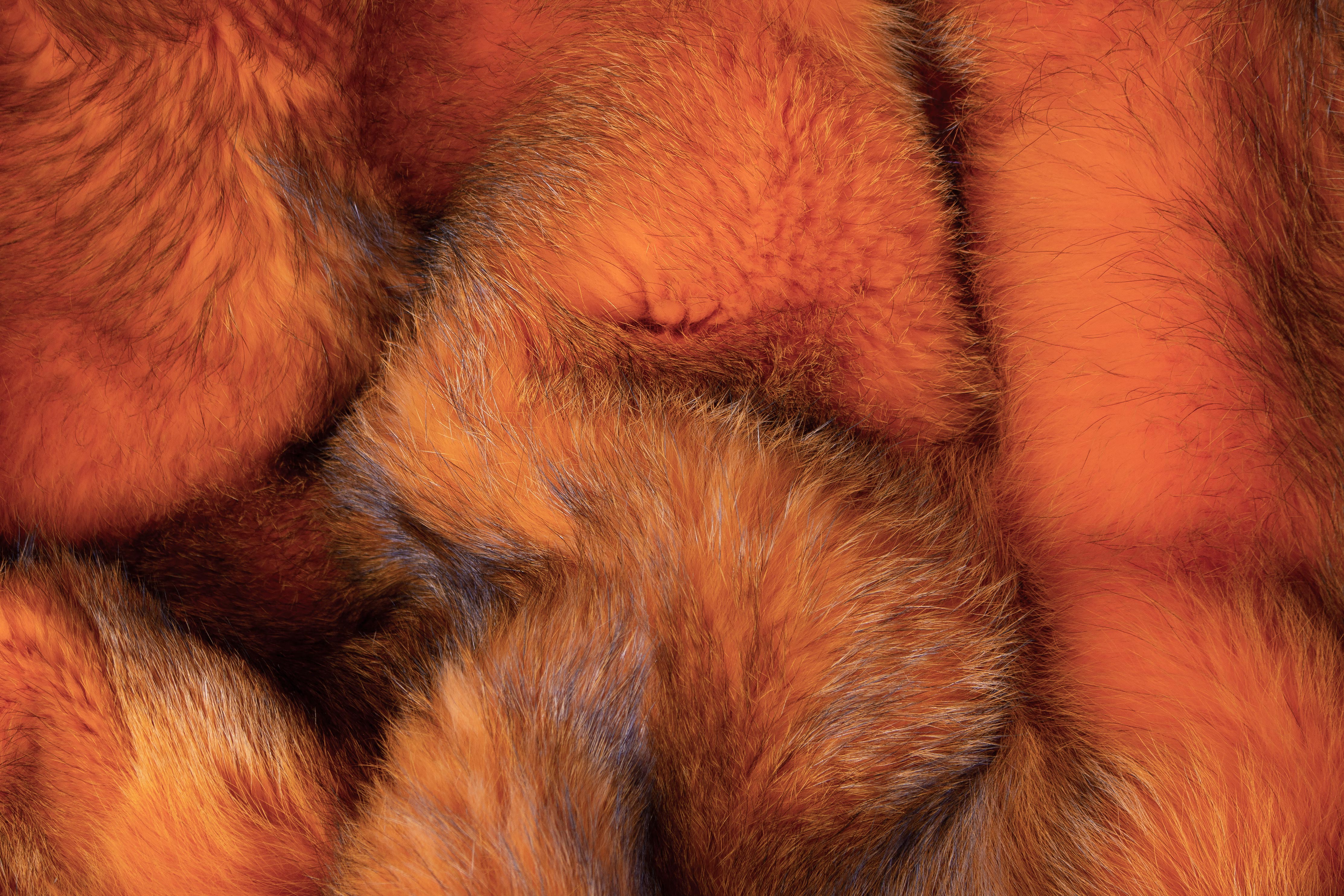 Real Fur Throw from European Red Foxes in Orange