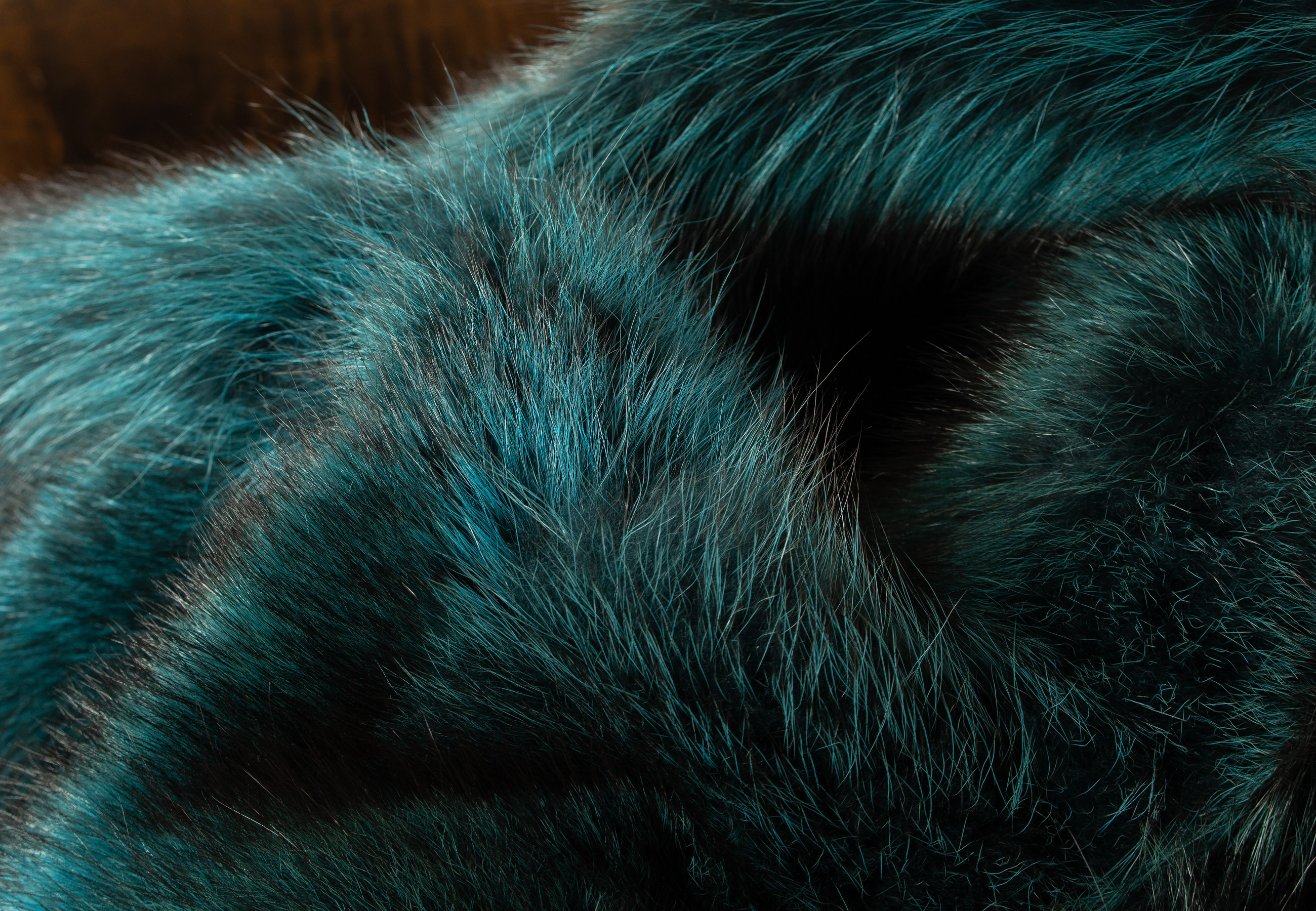 Unique Raccoon Fur Blanket in Turquoise