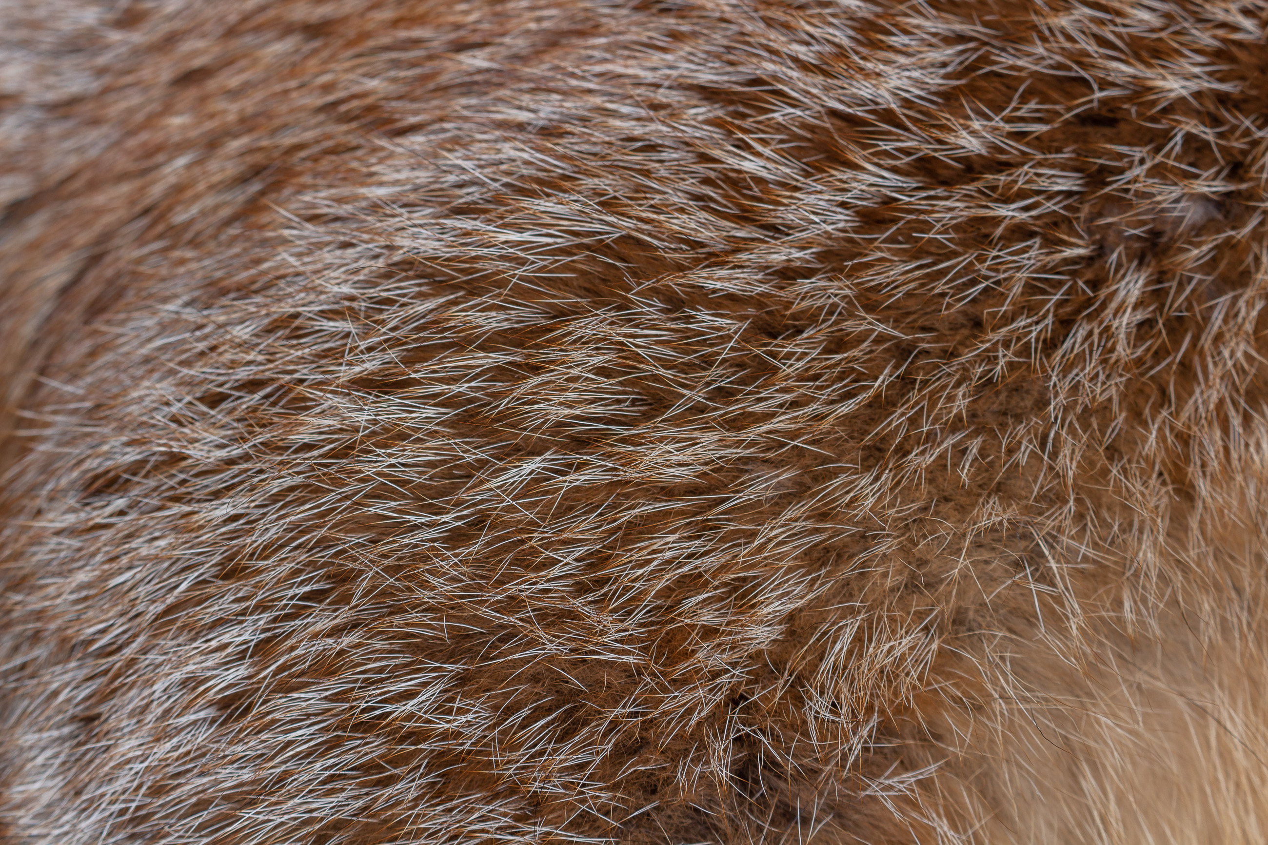 Cozy Red Fox Fur Pillow - Real Fur
