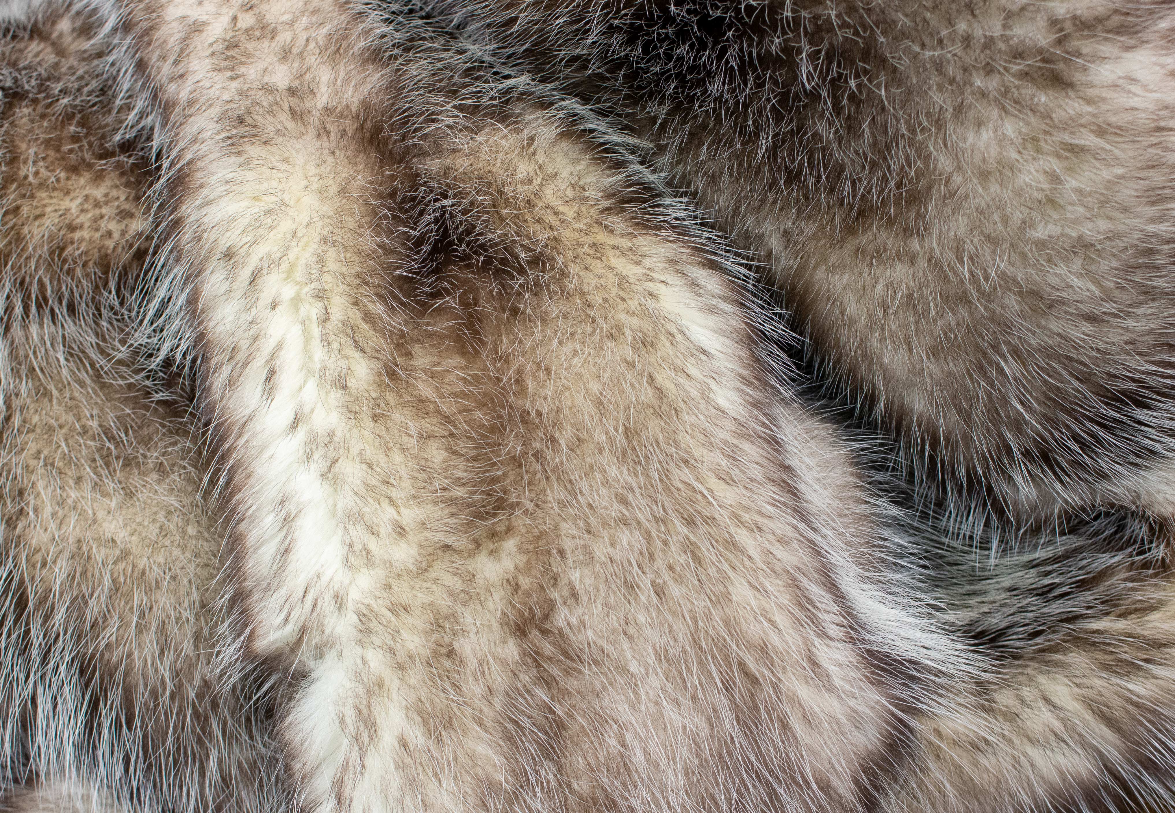 American Opossum Fur Blanket