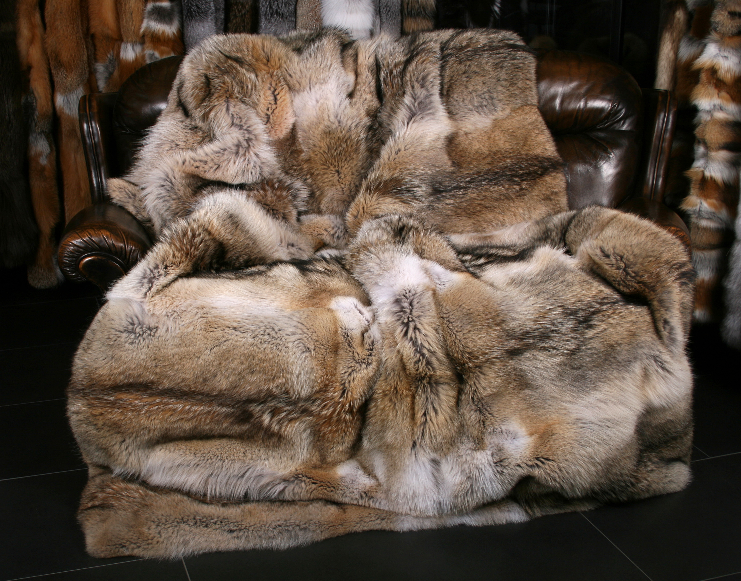 3-Rustikale-Pelzdecke-aus-kanadischen-Kojoten Coyote Fur Blanket - Fur Harvesters Quality