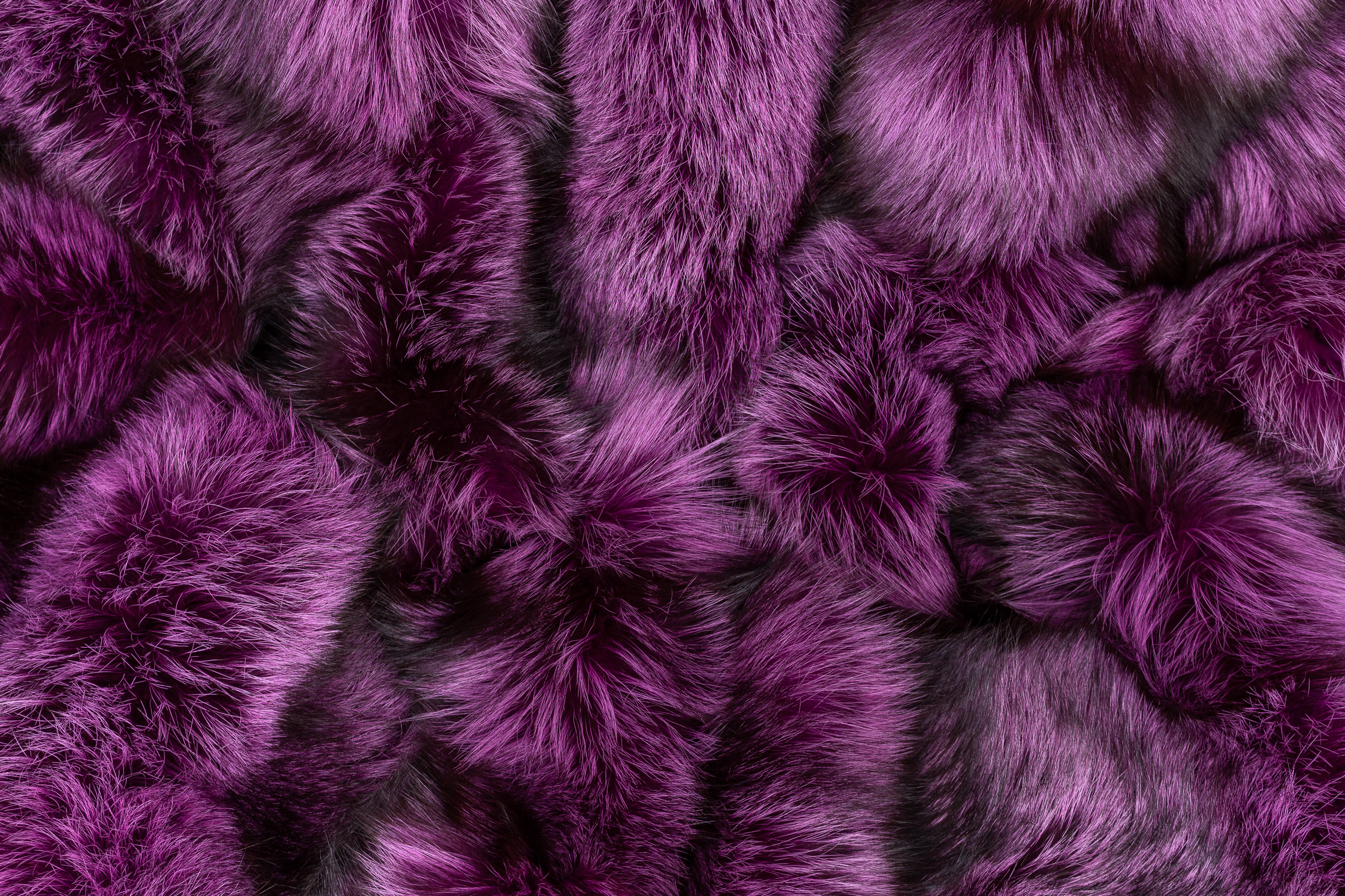 Real Fur Blanket made with Silver Foxes in Purple