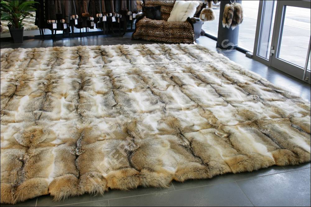 Genuine coyote fur carpet in 4 x 4 m