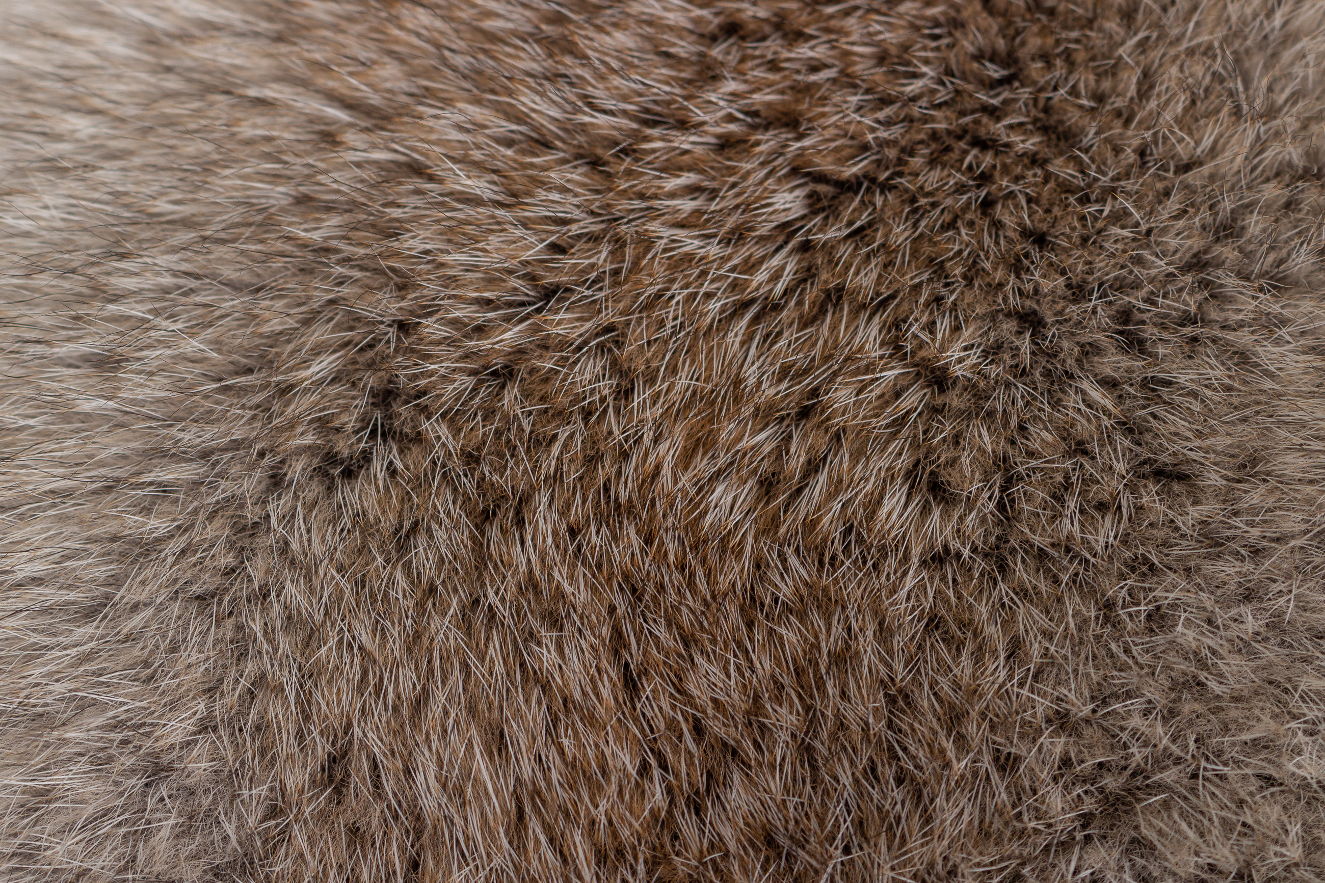 7-3406-Pelzkissen-Fawnlight-Fuchs-Echtpelz-Lars-Paustian Fur Pillow made with Fawnlight Fox