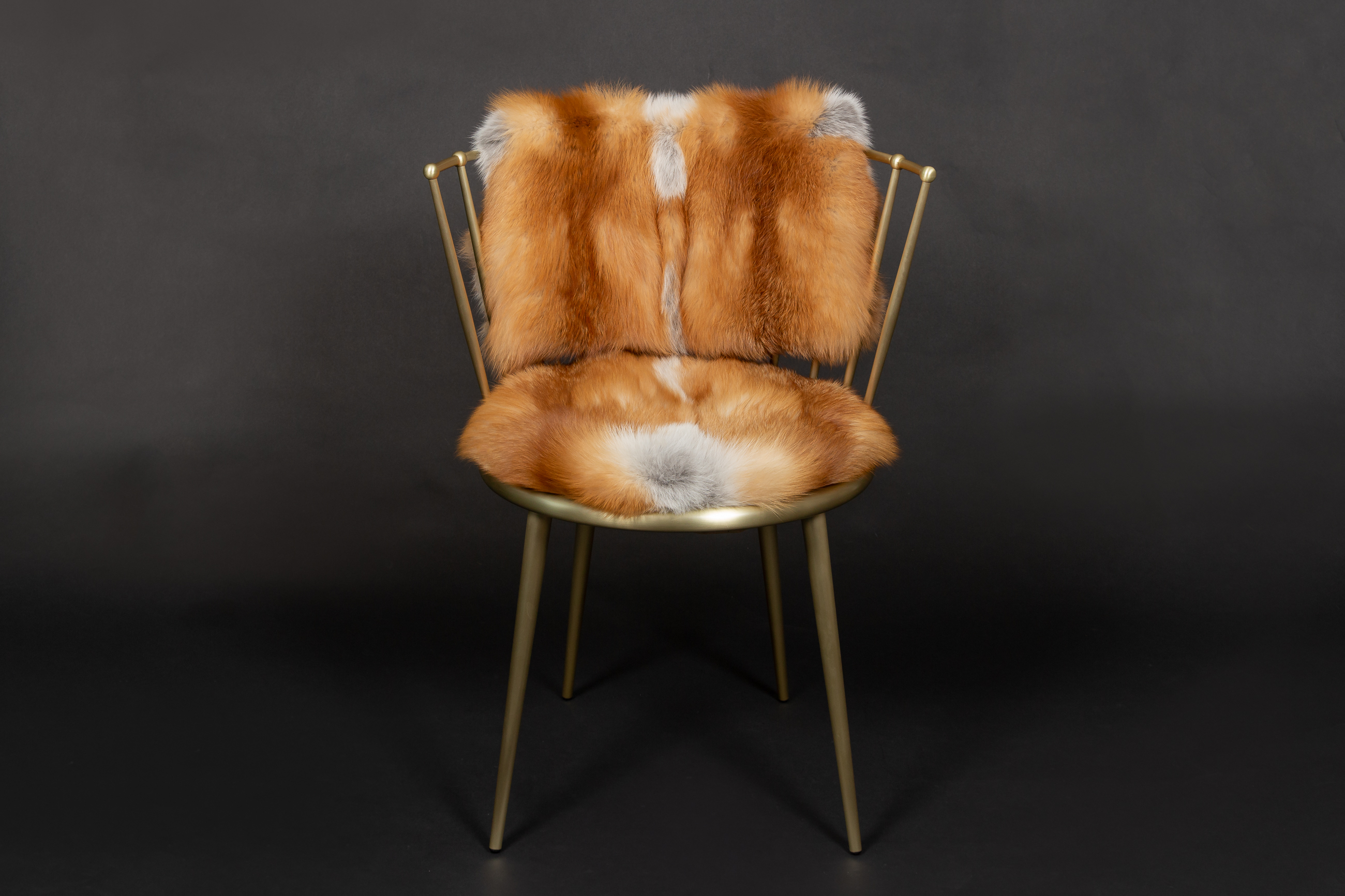 Red Fox Chair from European Foxes