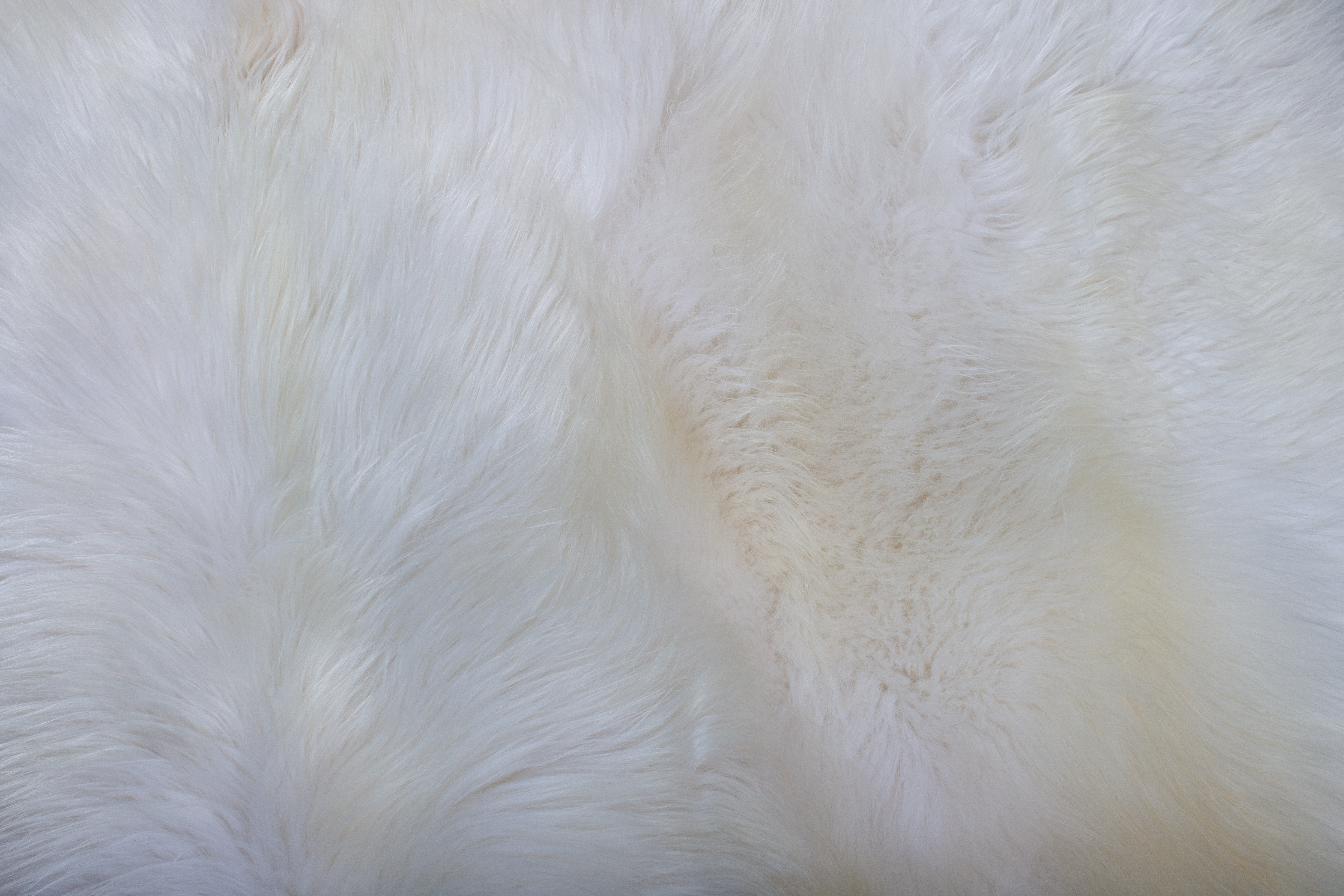 Nordic Lamb Fur Carpet in White