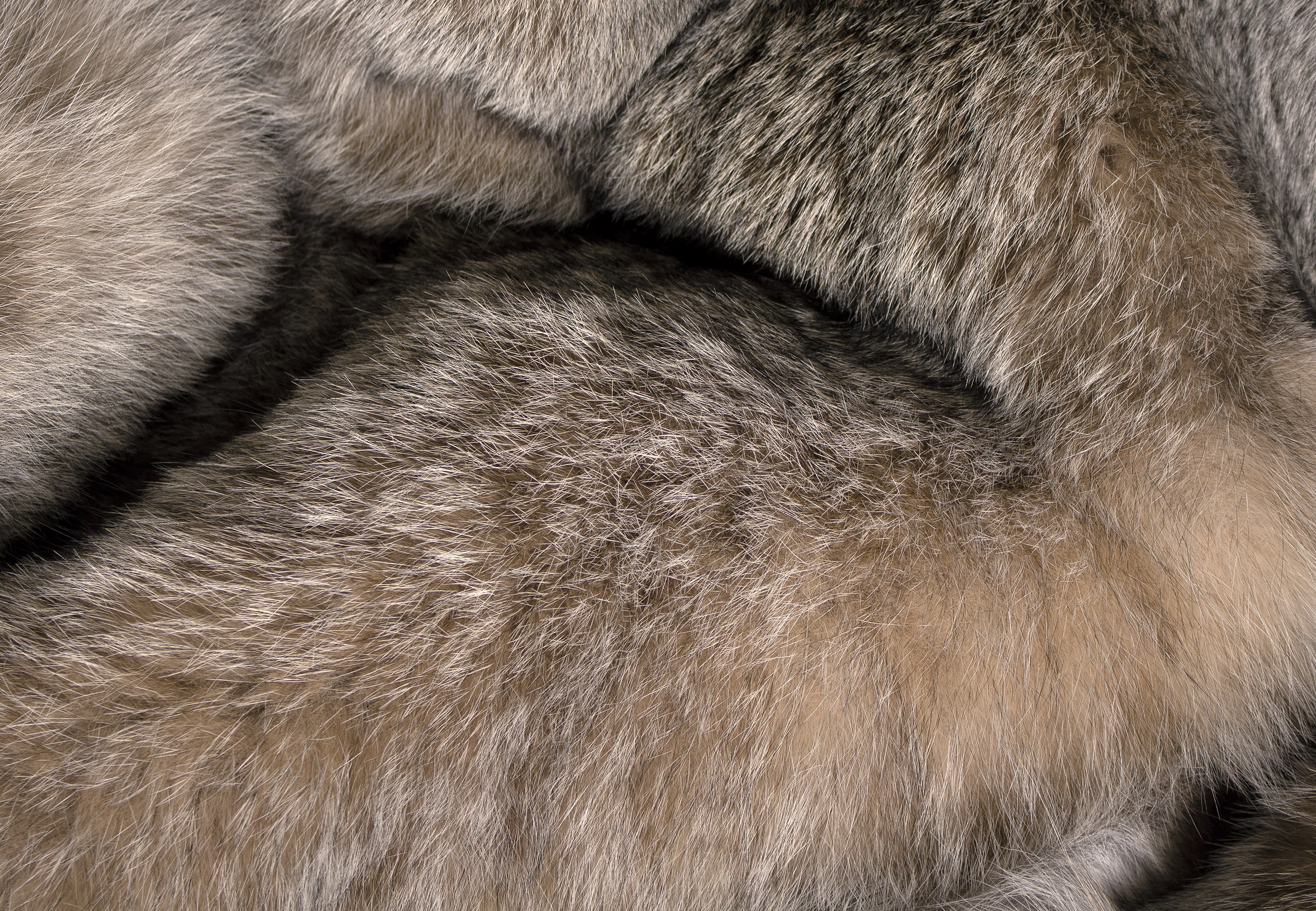 Lynx Fur Blanket