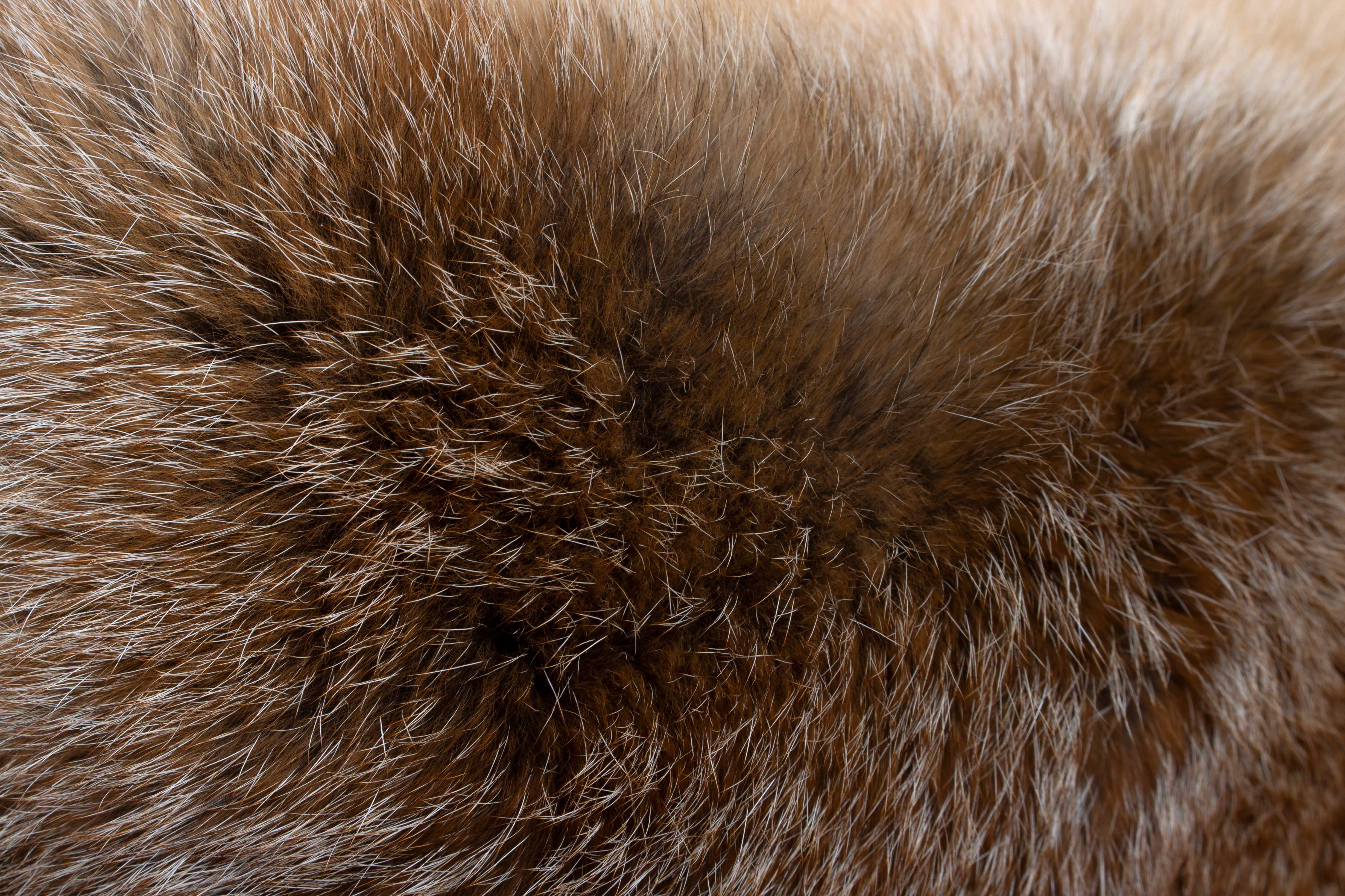 European Red Fox Fur Cushion