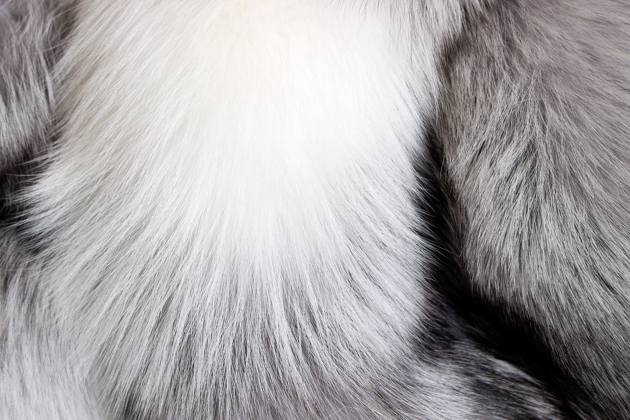 7-4133-besondere-platinum-Echtpelz-Kuscheldecke-Lars-Paustian Special Platinum Frost Fox Fur Blanket - TOP LOT 2019
