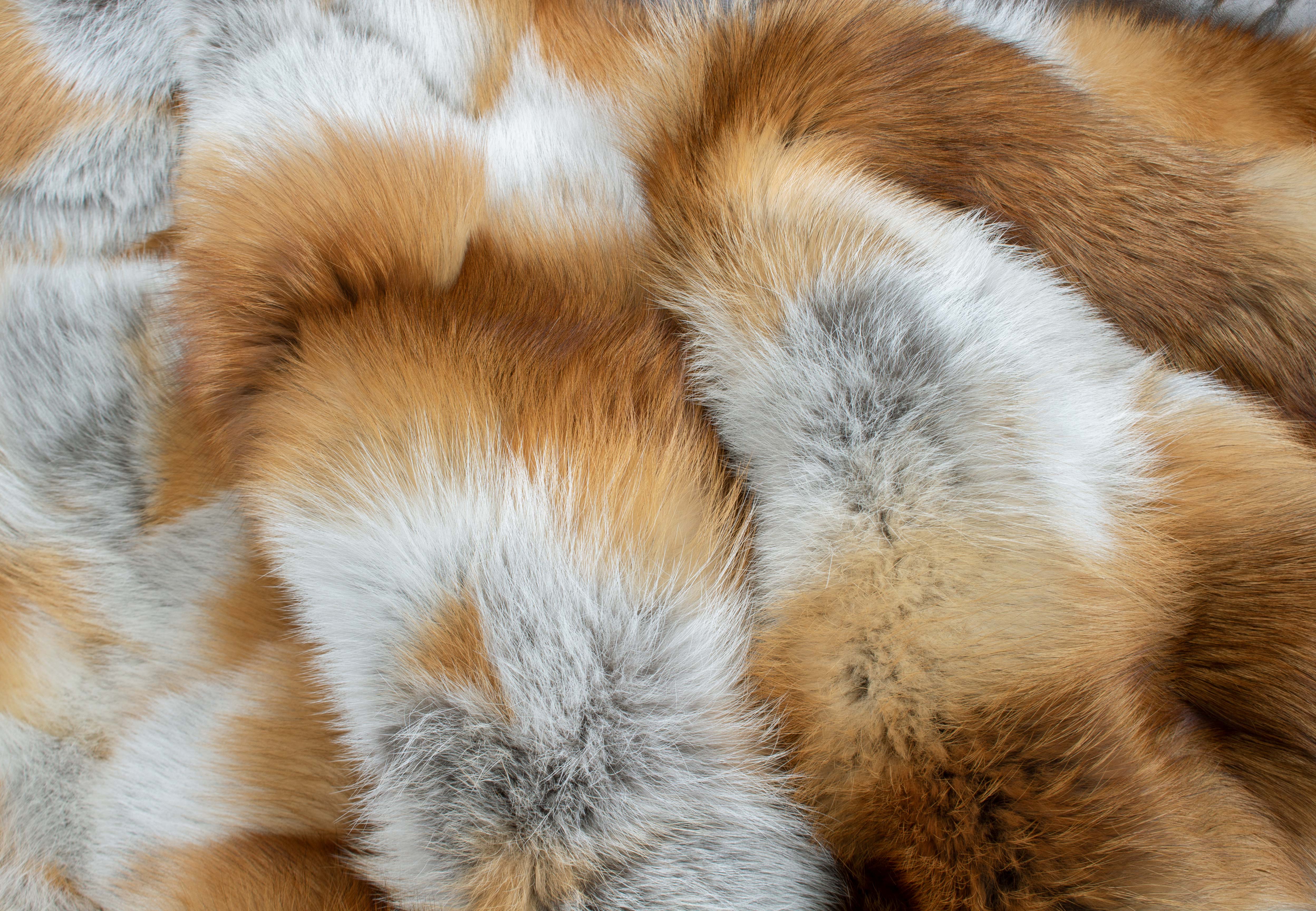 Red Fox Blanket - Patchwork Design