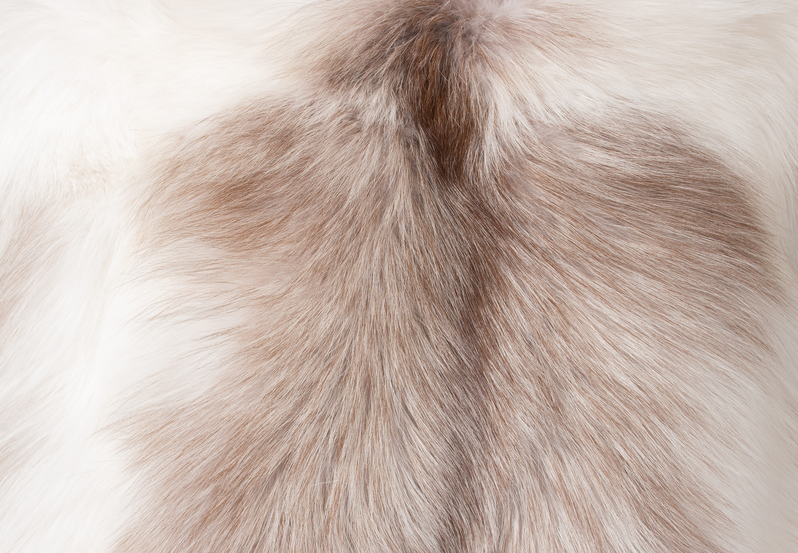 Real Fox Cushion from Arctic Marble Fox
