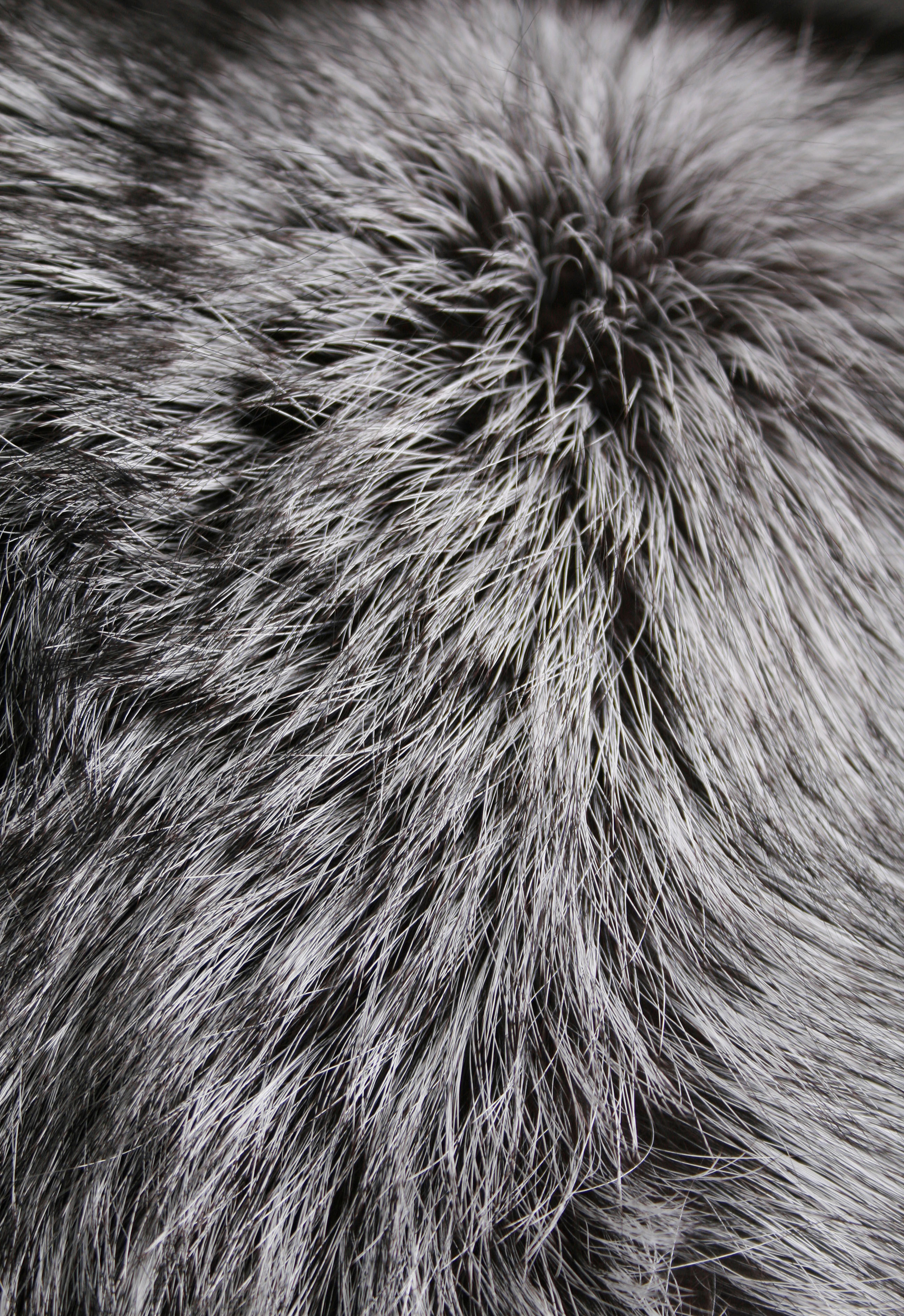 Scanadinavian Silverfox Fur Carpet