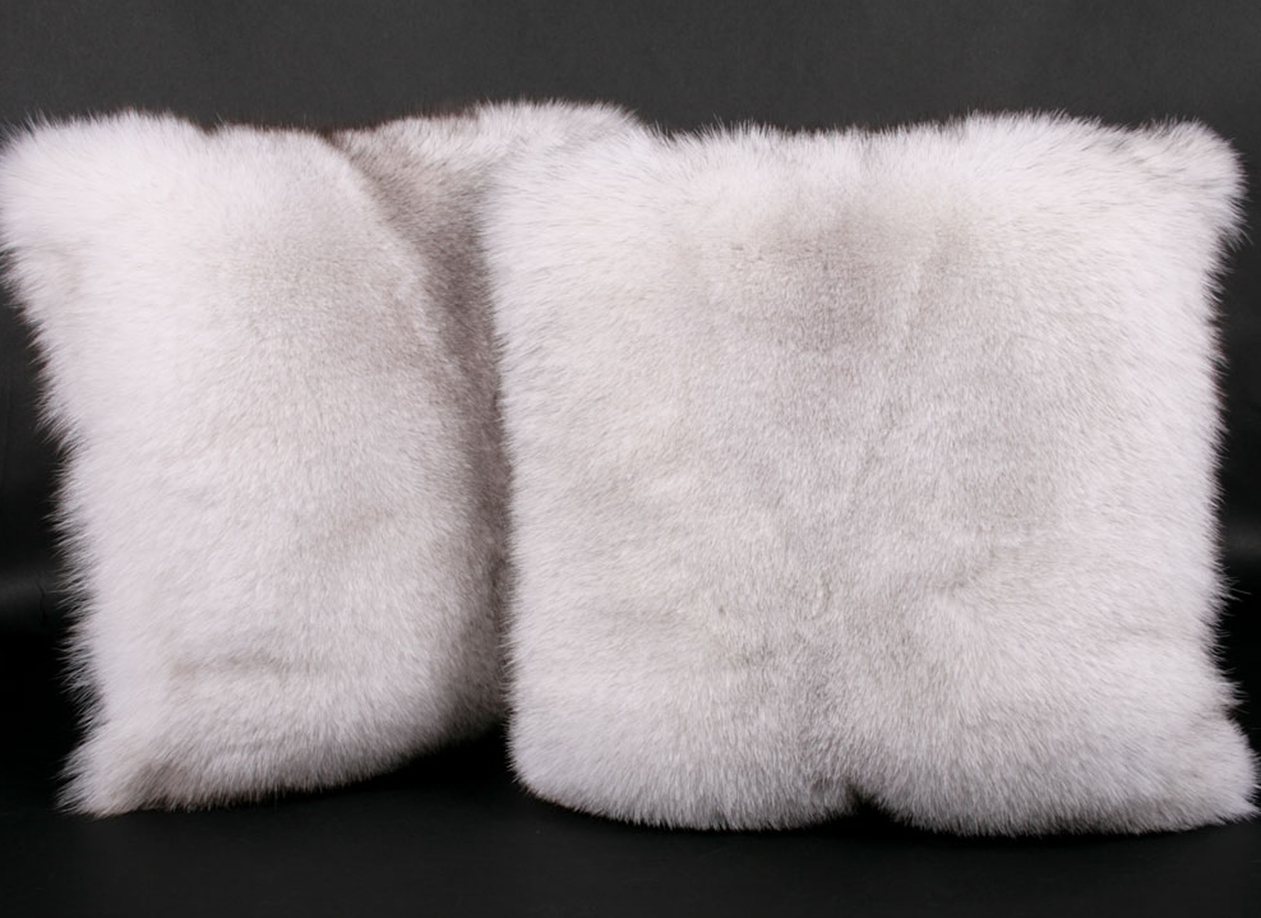 2-136-blaufuchs-kissen57580228659cc Blue fox pillow