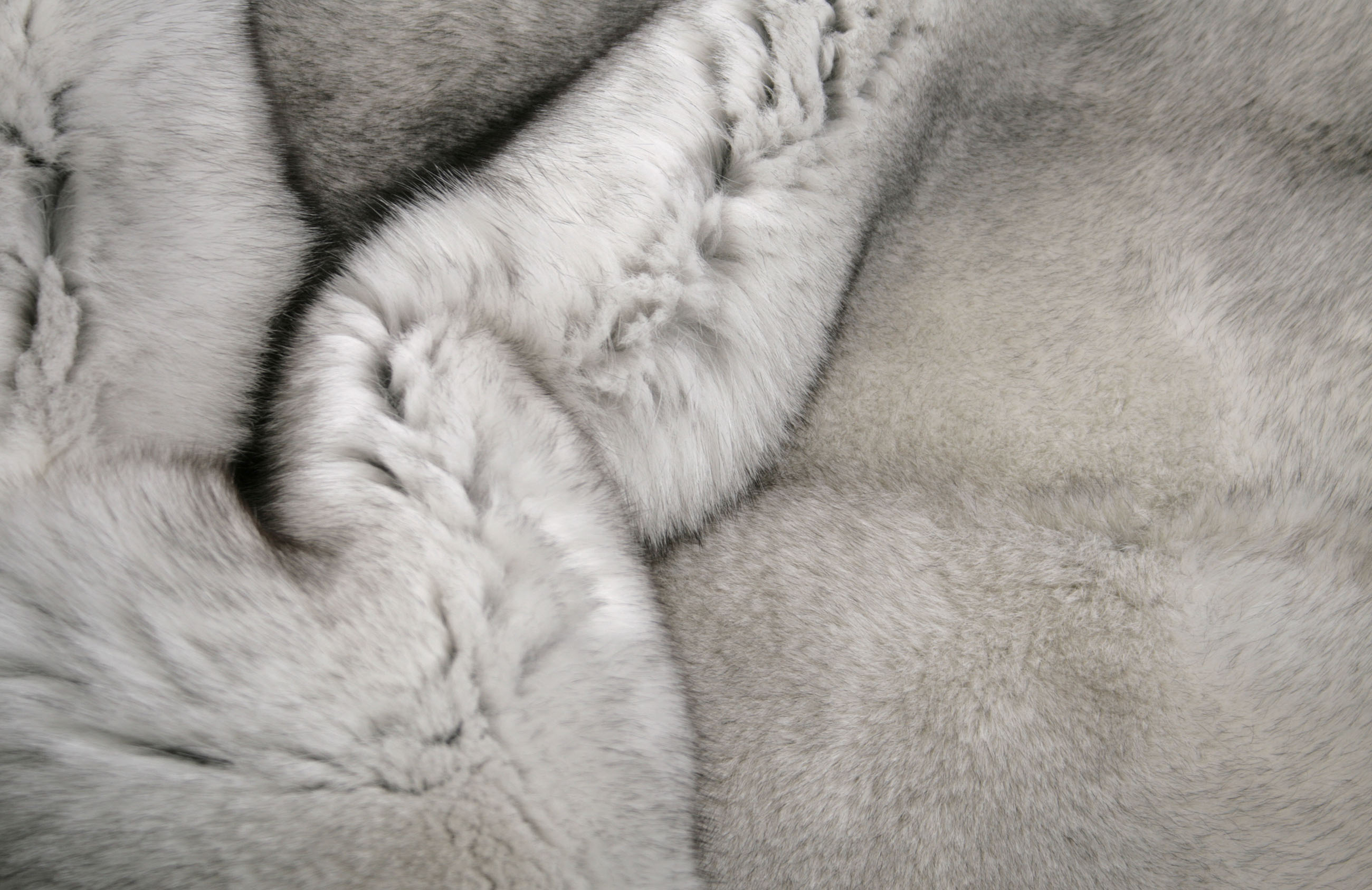 First class blue fox fur rug