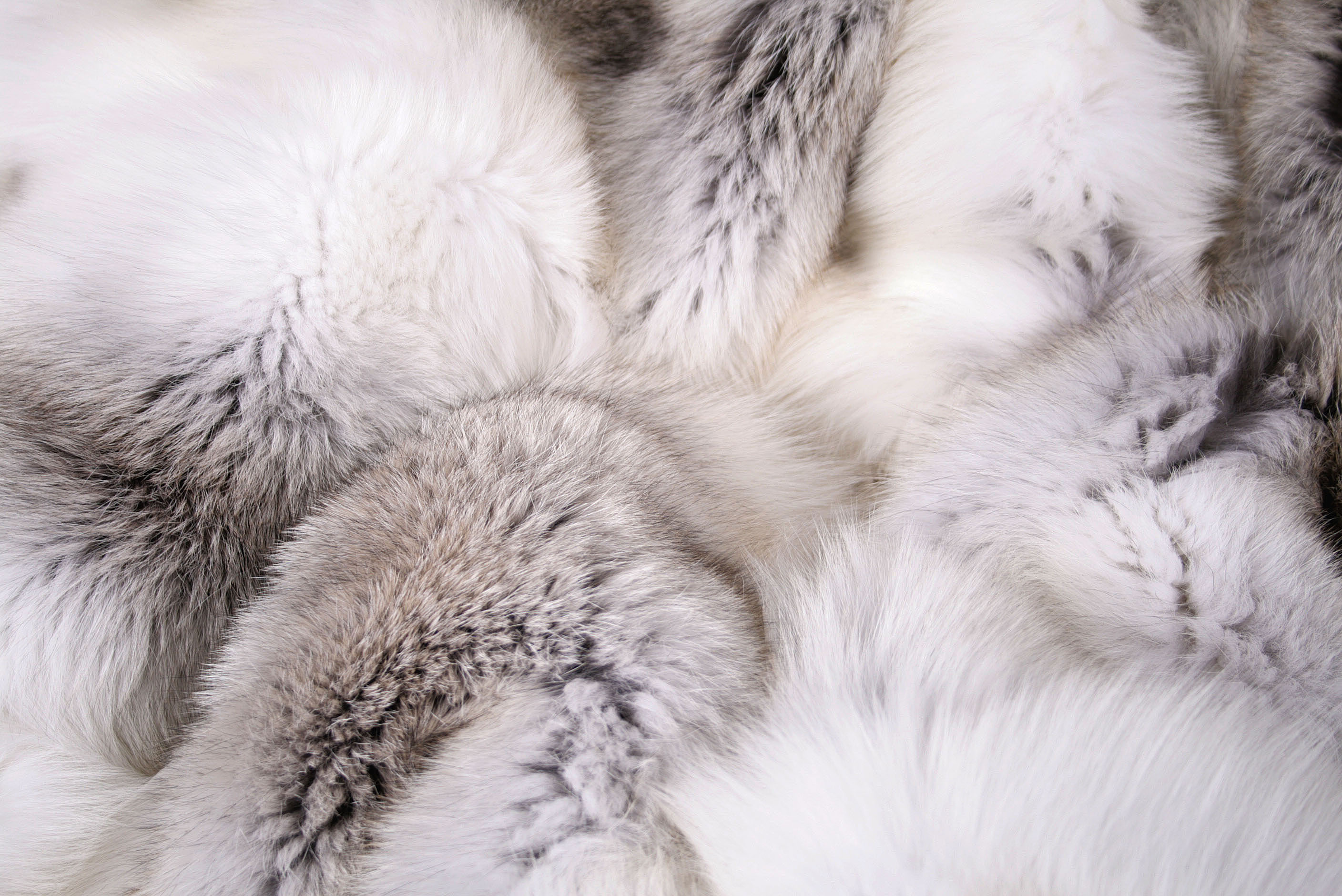SAGA Fawn light fur blanket