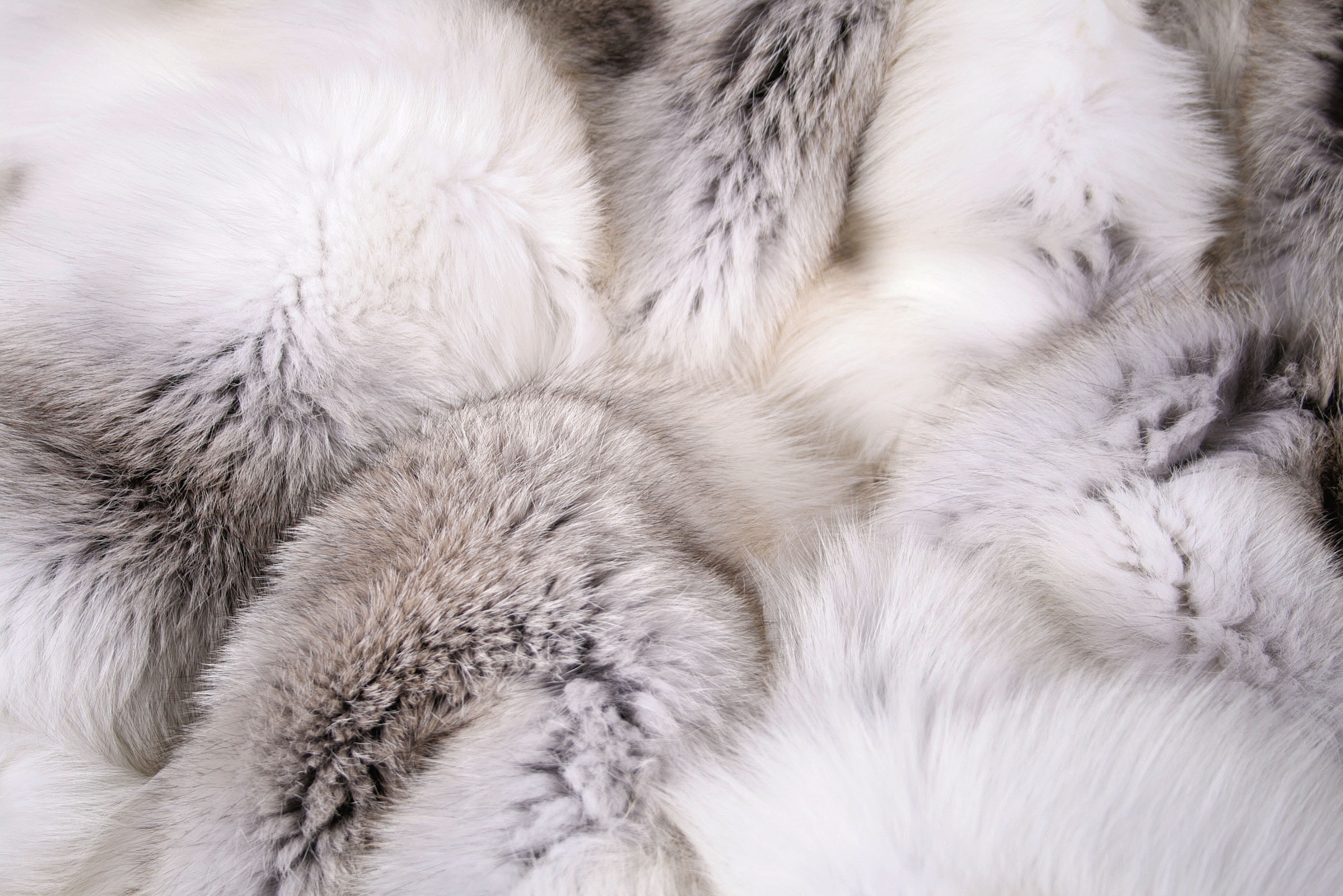 6-504-fawn-light-Felldecke-fawnlight SAGA Fawn light fur blanket