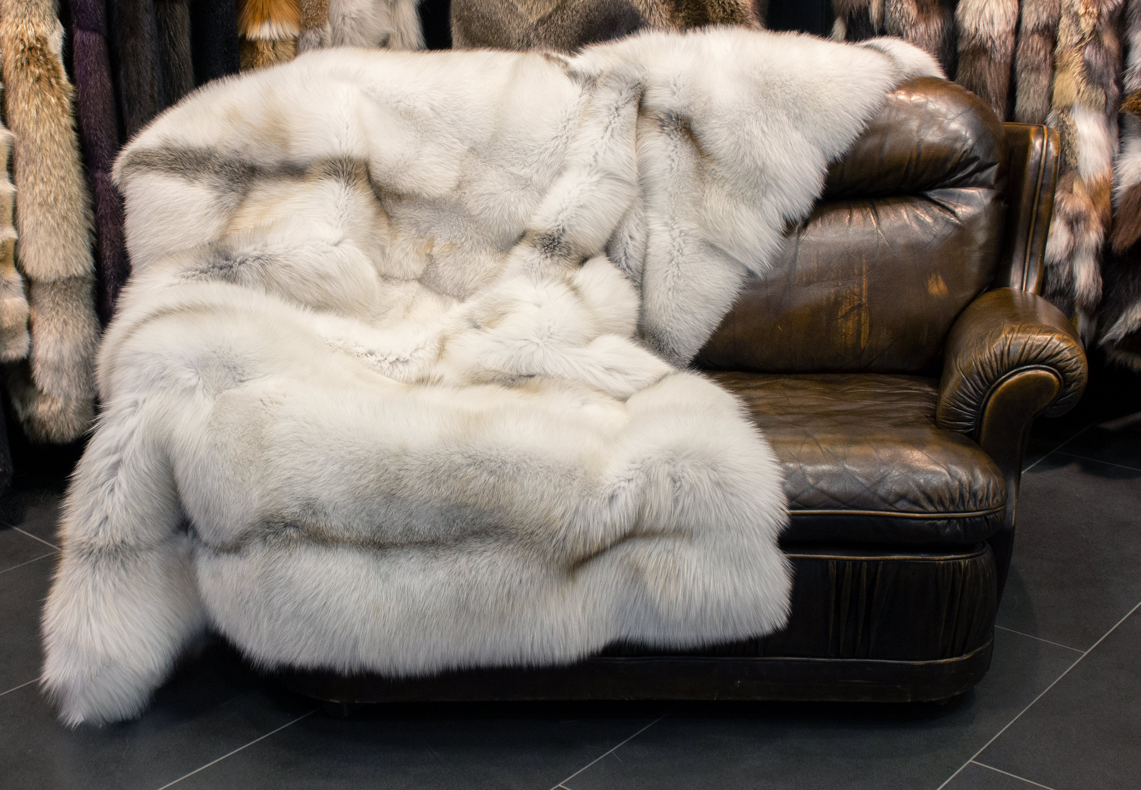 Fur Blanket made of SAGA Arctic Golden Island Foxes