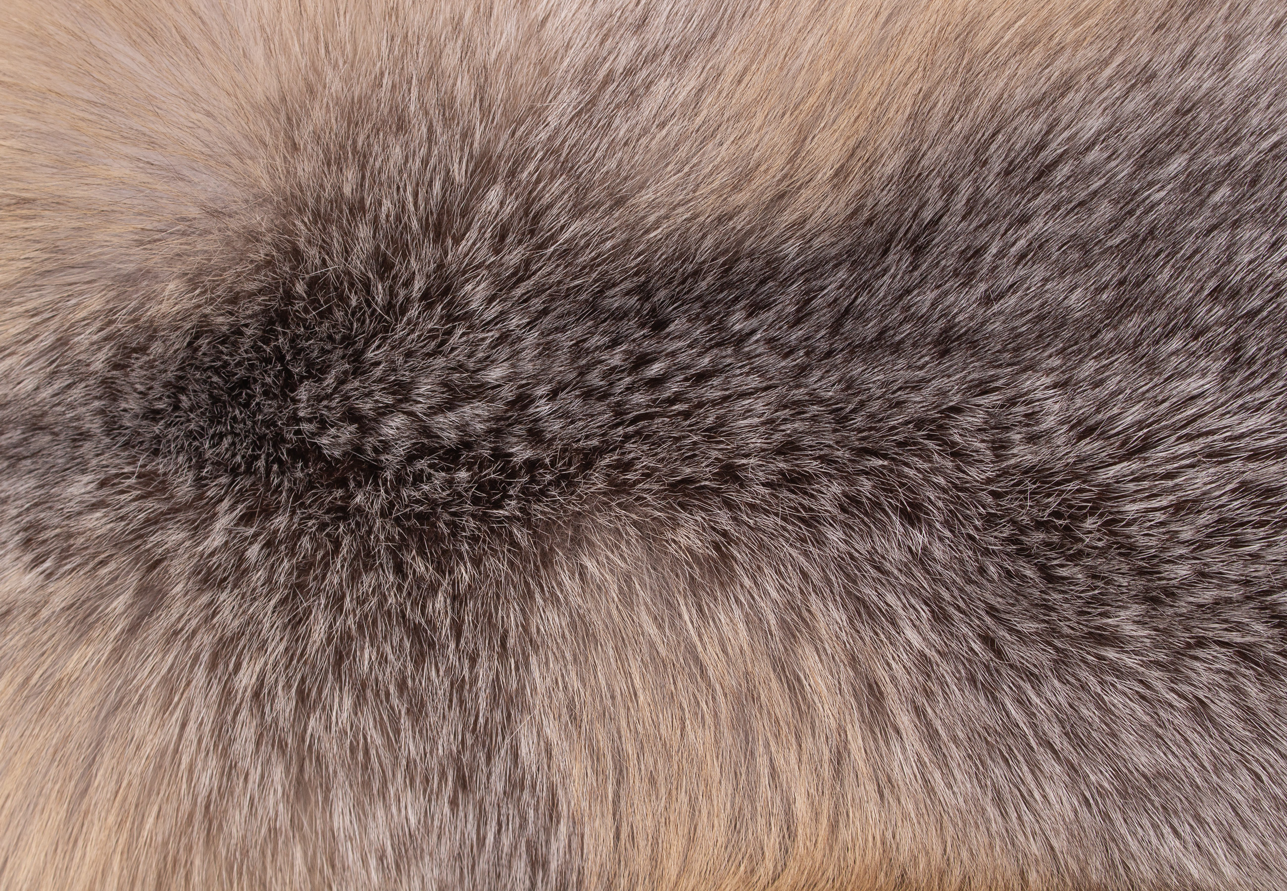Cuddly Blue Frost Fox Fur Pillow 'Northern Light'