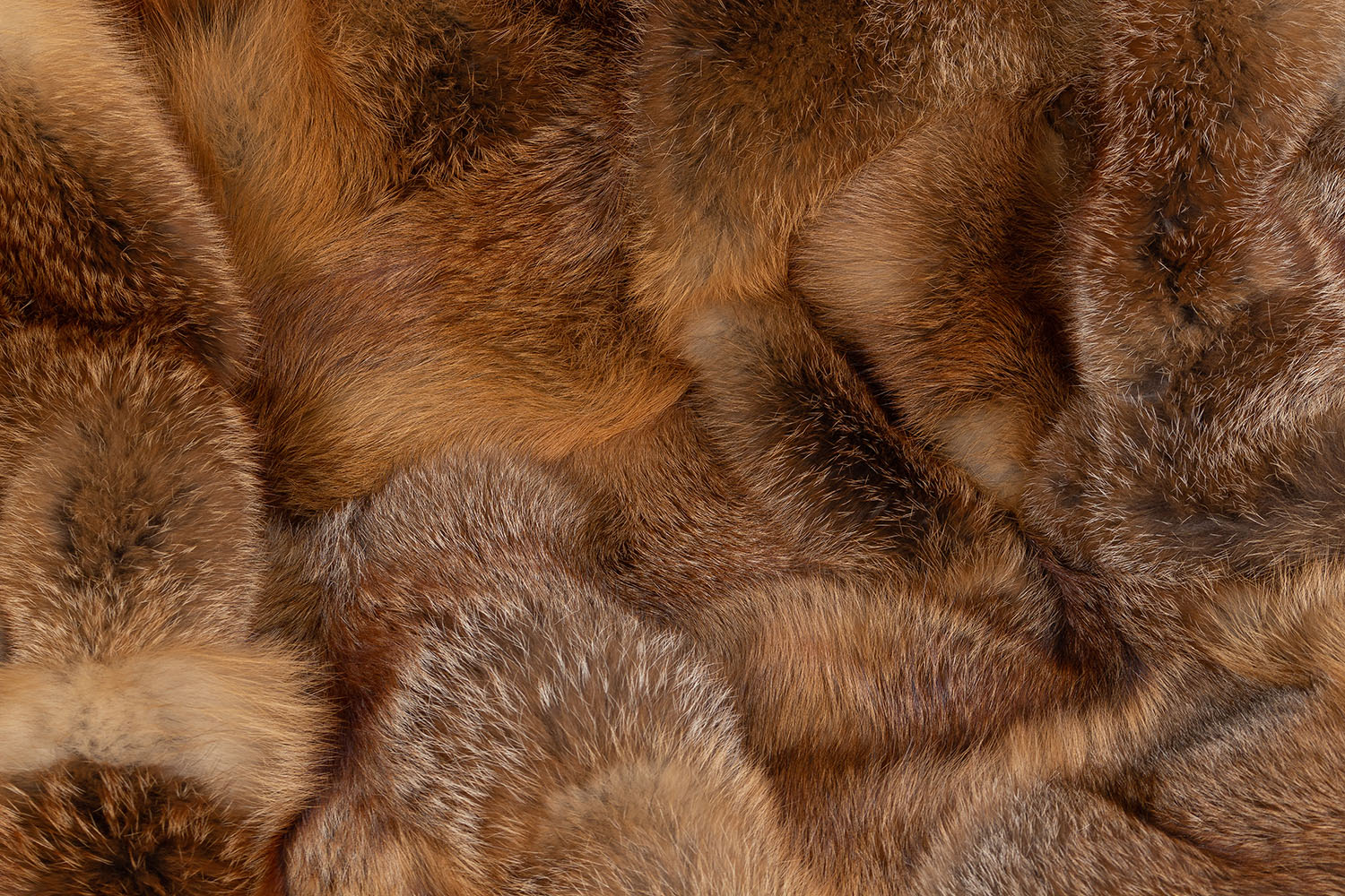 European Red Fox Fur Blanket Wild Fur