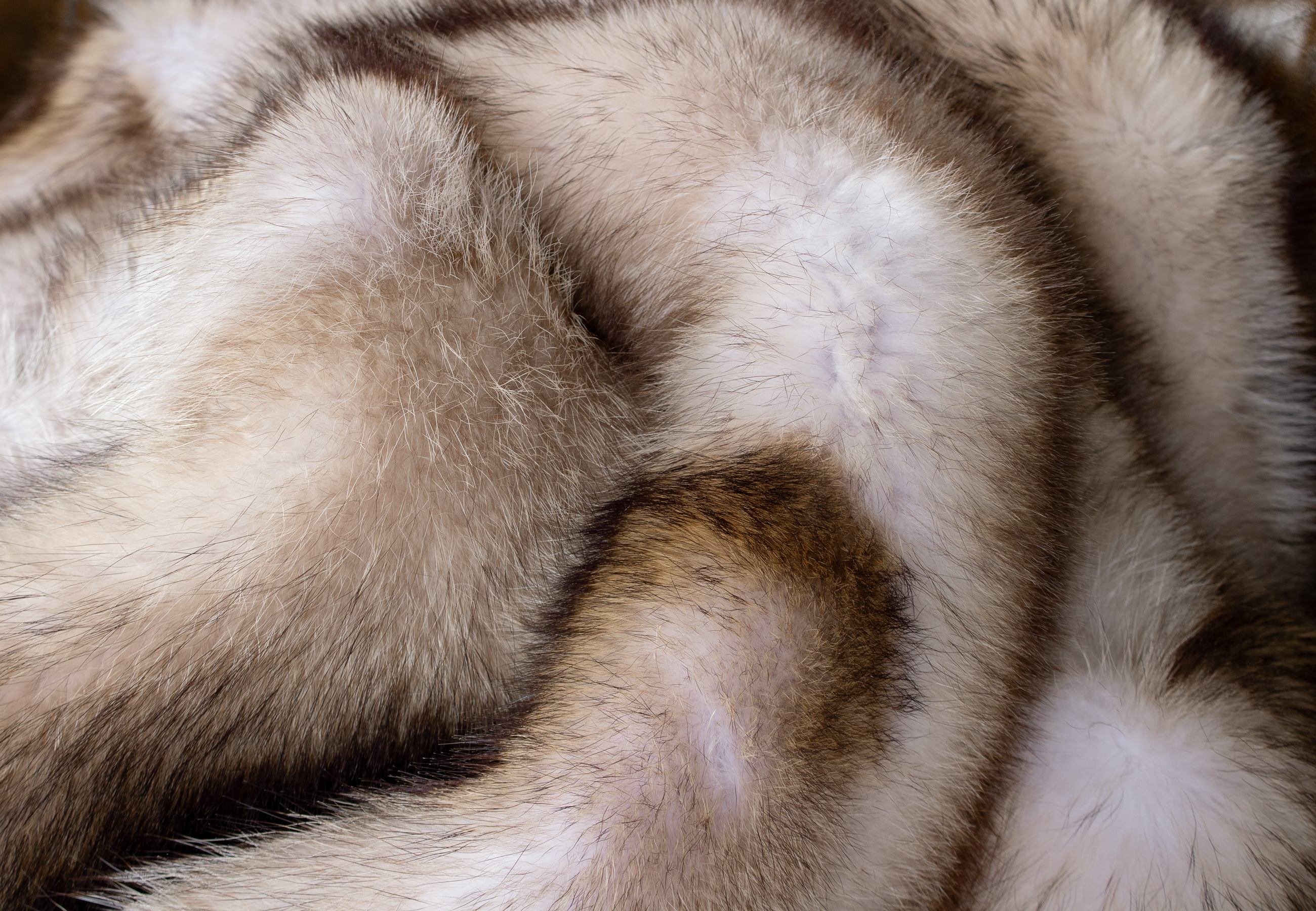 Light Raccoon Fur Blanket - Bleached