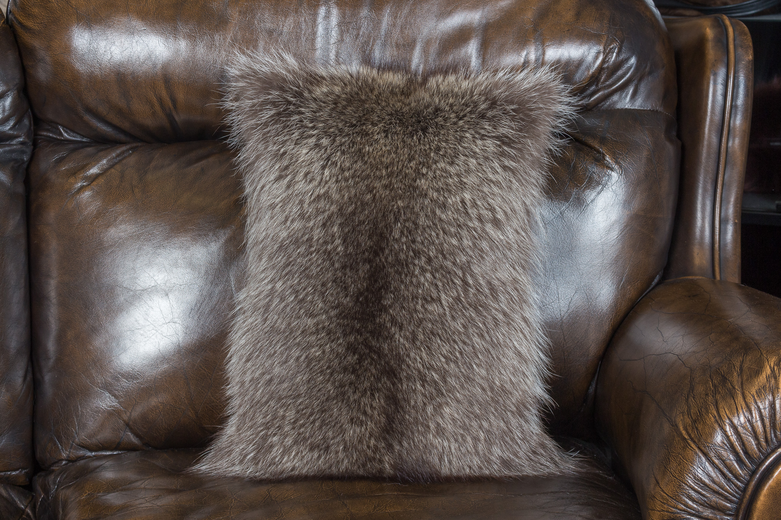 2-1376-Kleines-Waschbaer-Fellkissen-Lars-Paustian Little Raccoon Fur Pillow