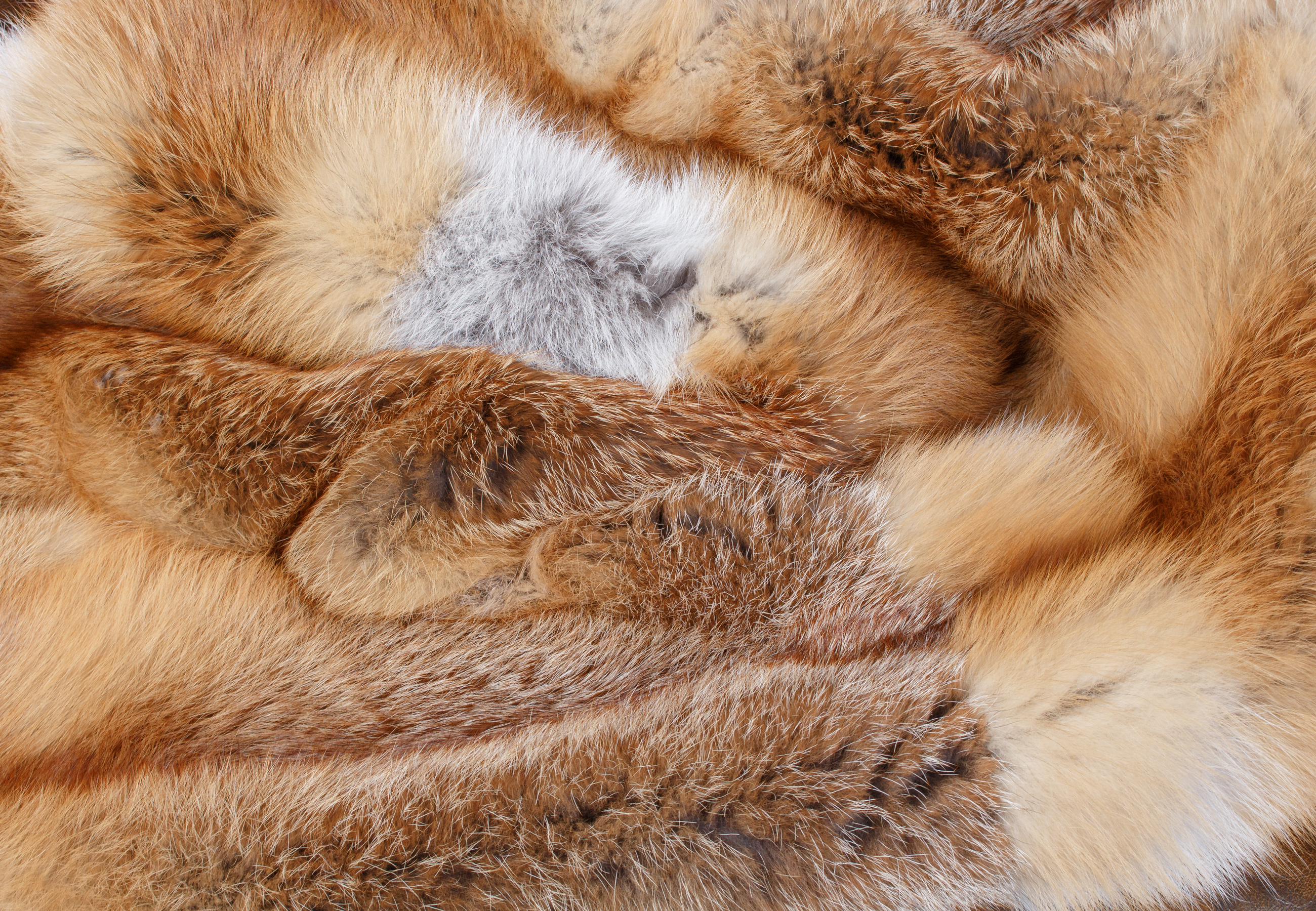 Premium Fur Plaid made from European Red Foxes Premium Fur Plaid made from European Red Foxes