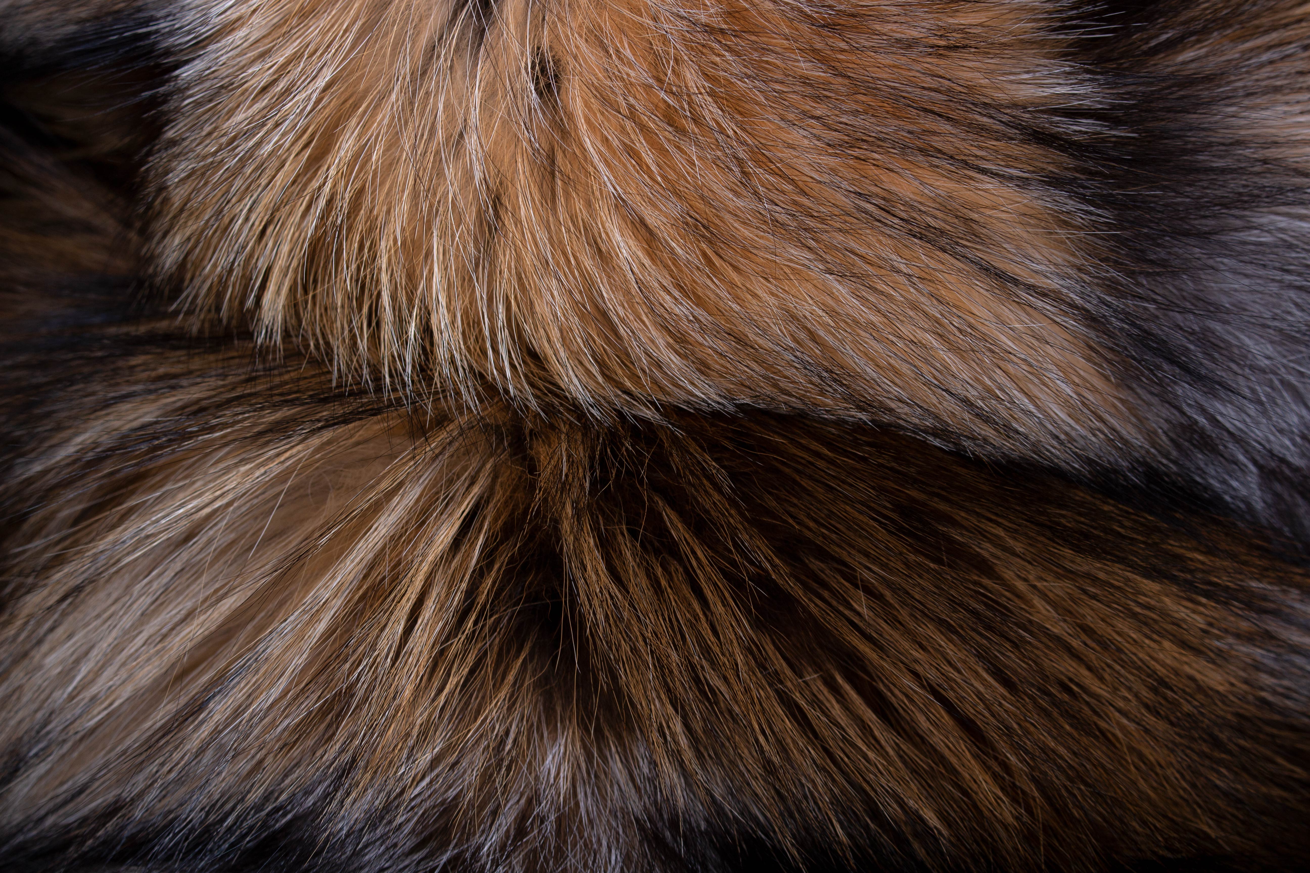 6-2888-Kuschelige-Smokey-Fuchs-Pelzdecke-Lars-Paustian Cozy Real Fox Fur Blanket - Genuine Smokey Fox Fur