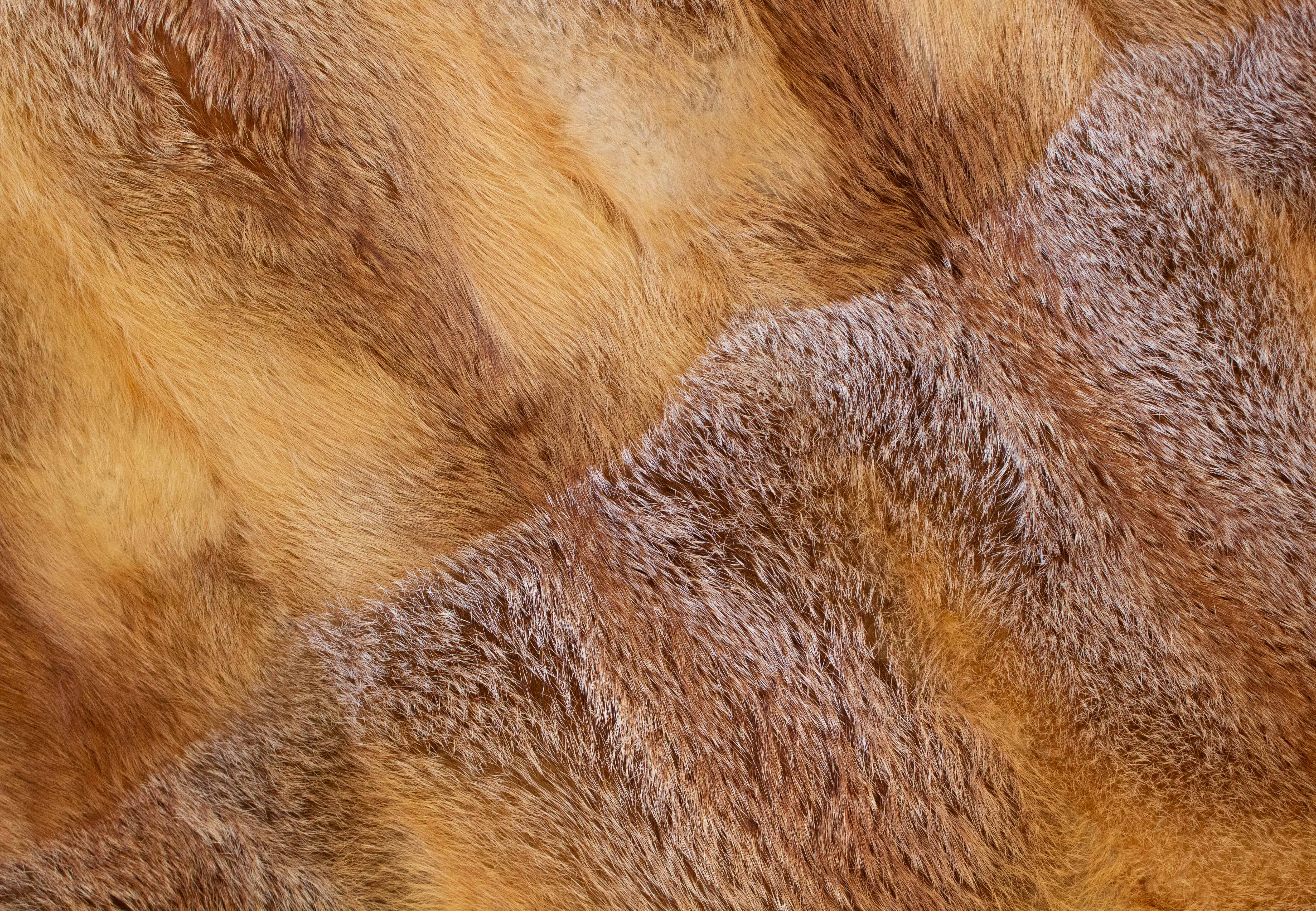 XXL European Red Fox Carpet - Wild Fur