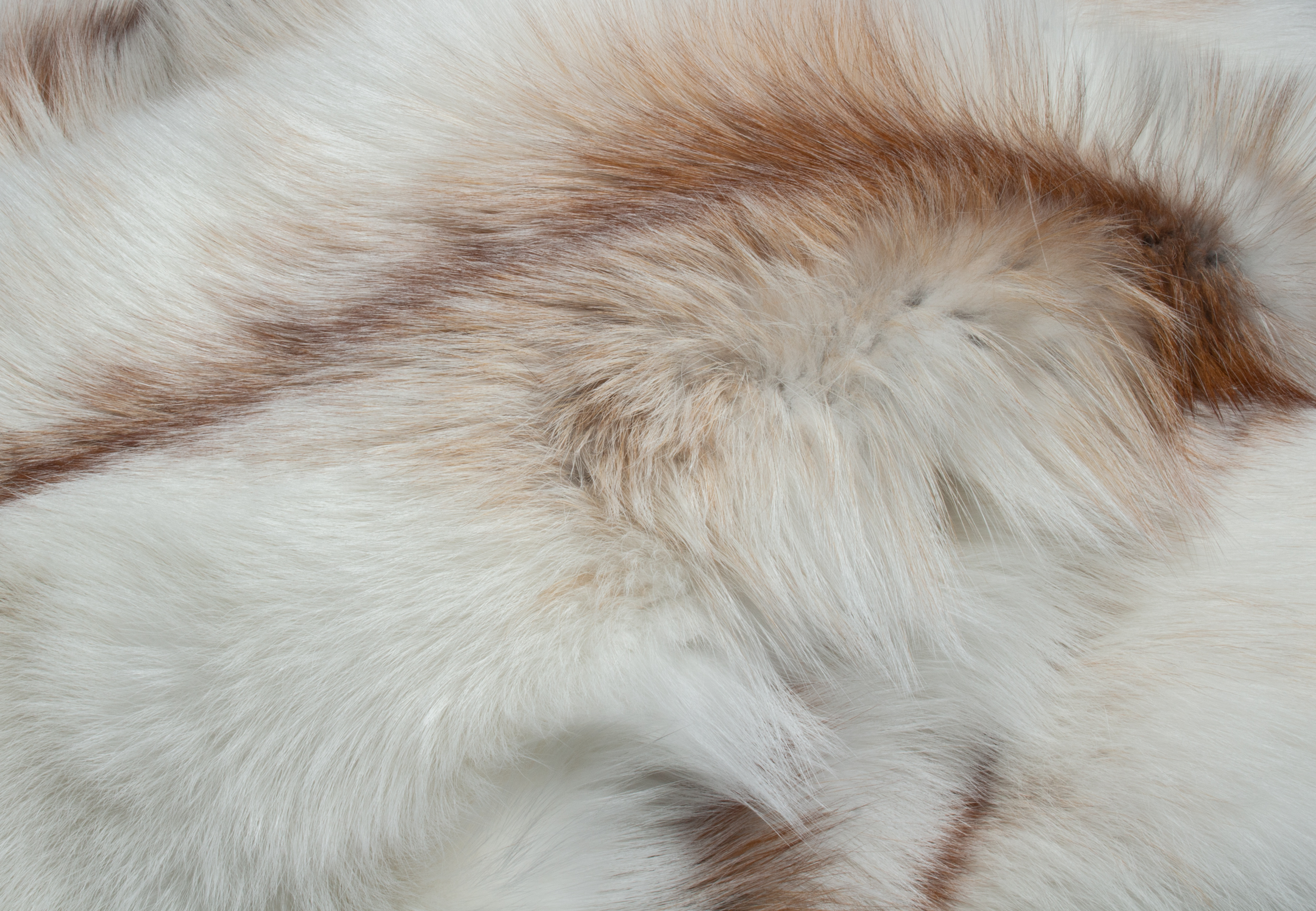 Sun Glo Fox Fur Blanket Sun Glo Fox Fur Blanket